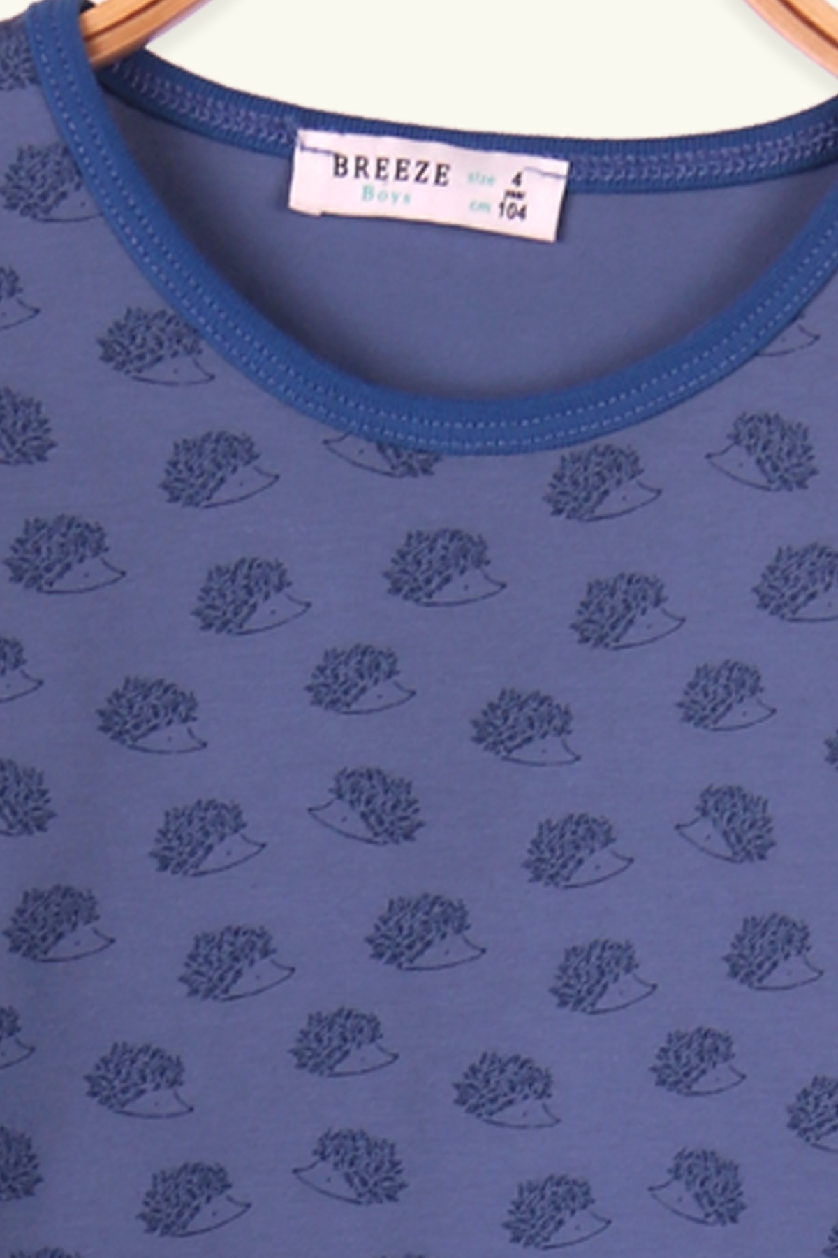 Breeze Erkek Çocuk Pijama Takımı Kirpi Desenli Mavi (4-8 Yaş)