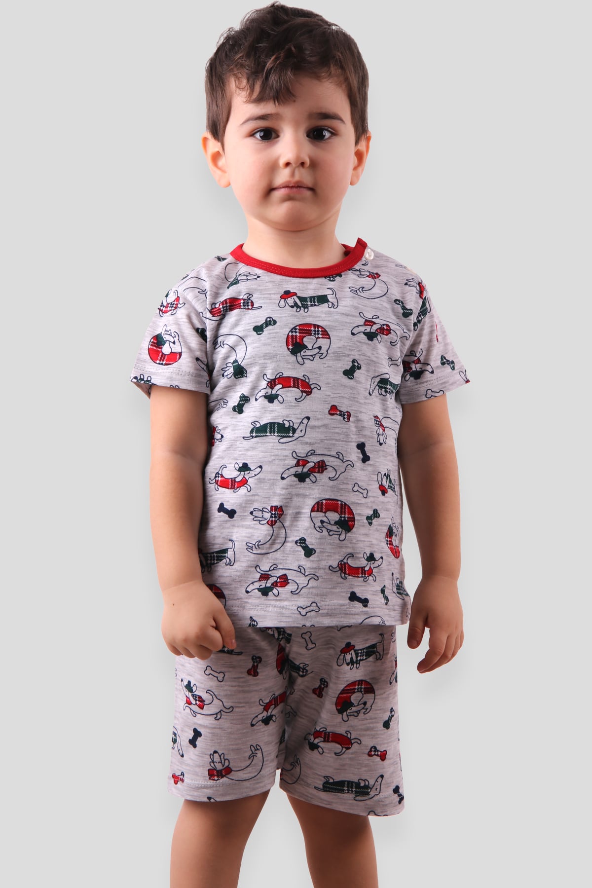 Breeze Erkek Çocuk Pijama Takımı Köpekli Gri (1-4 Yaş)