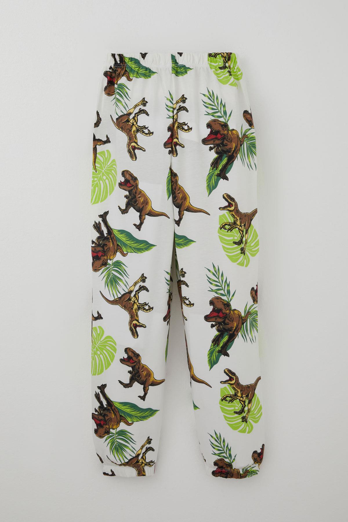 Breeze Erkek Çocuk Pijama Takımı Kükreyen Orman Dinozoru Beyaz (4-8 Yaş)