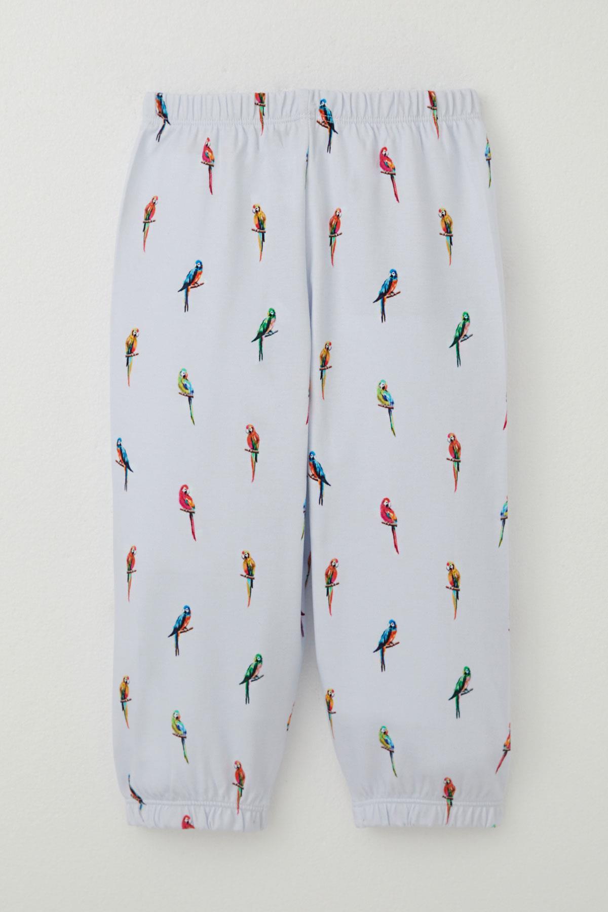 Breeze Erkek Çocuk Pijama Takımı Renkli Papağan Desenli Buz Mavisi (1-2 Yaş)