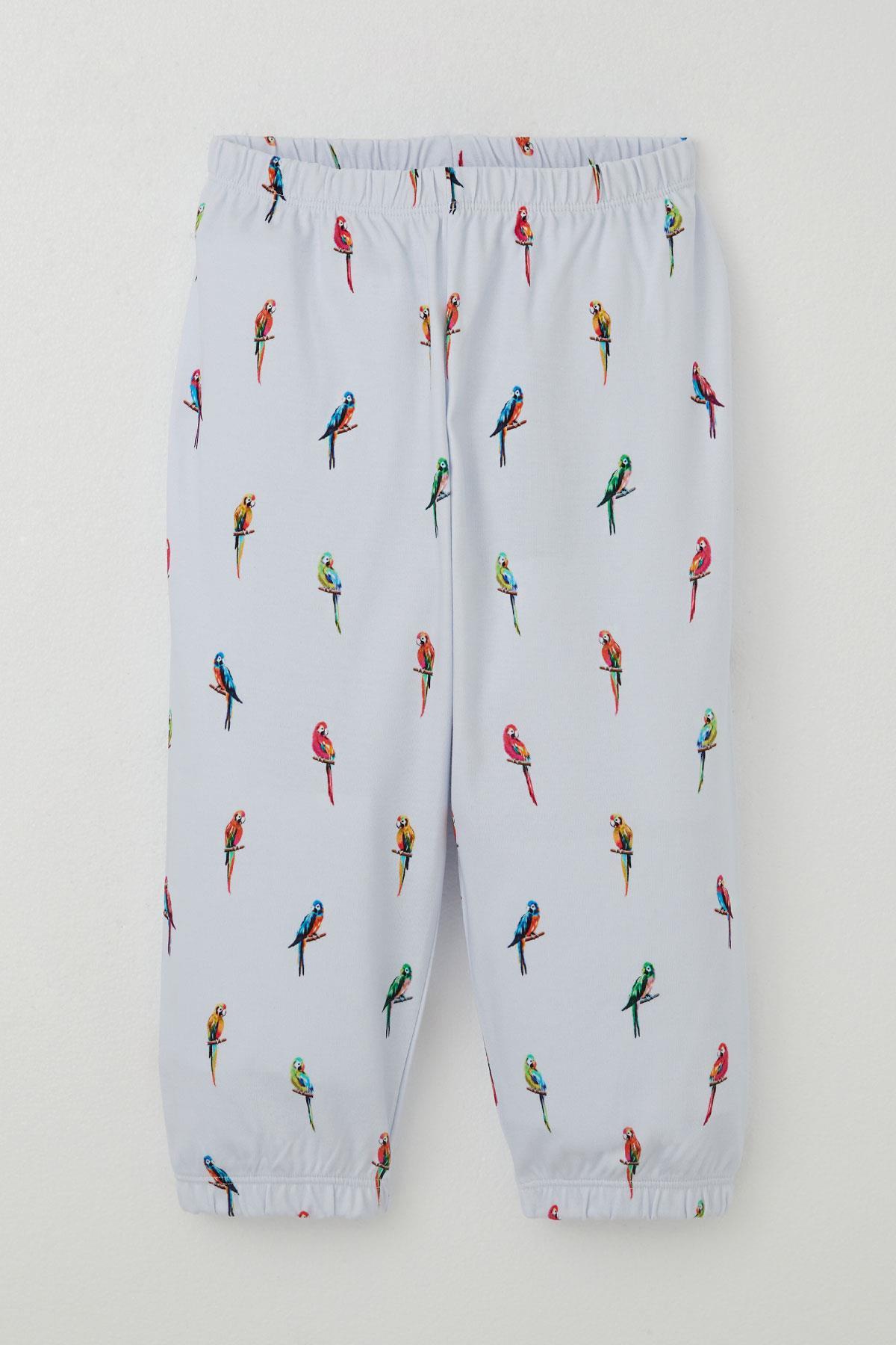 Breeze Erkek Çocuk Pijama Takımı Renkli Papağan Desenli Buz Mavisi (1-2 Yaş)
