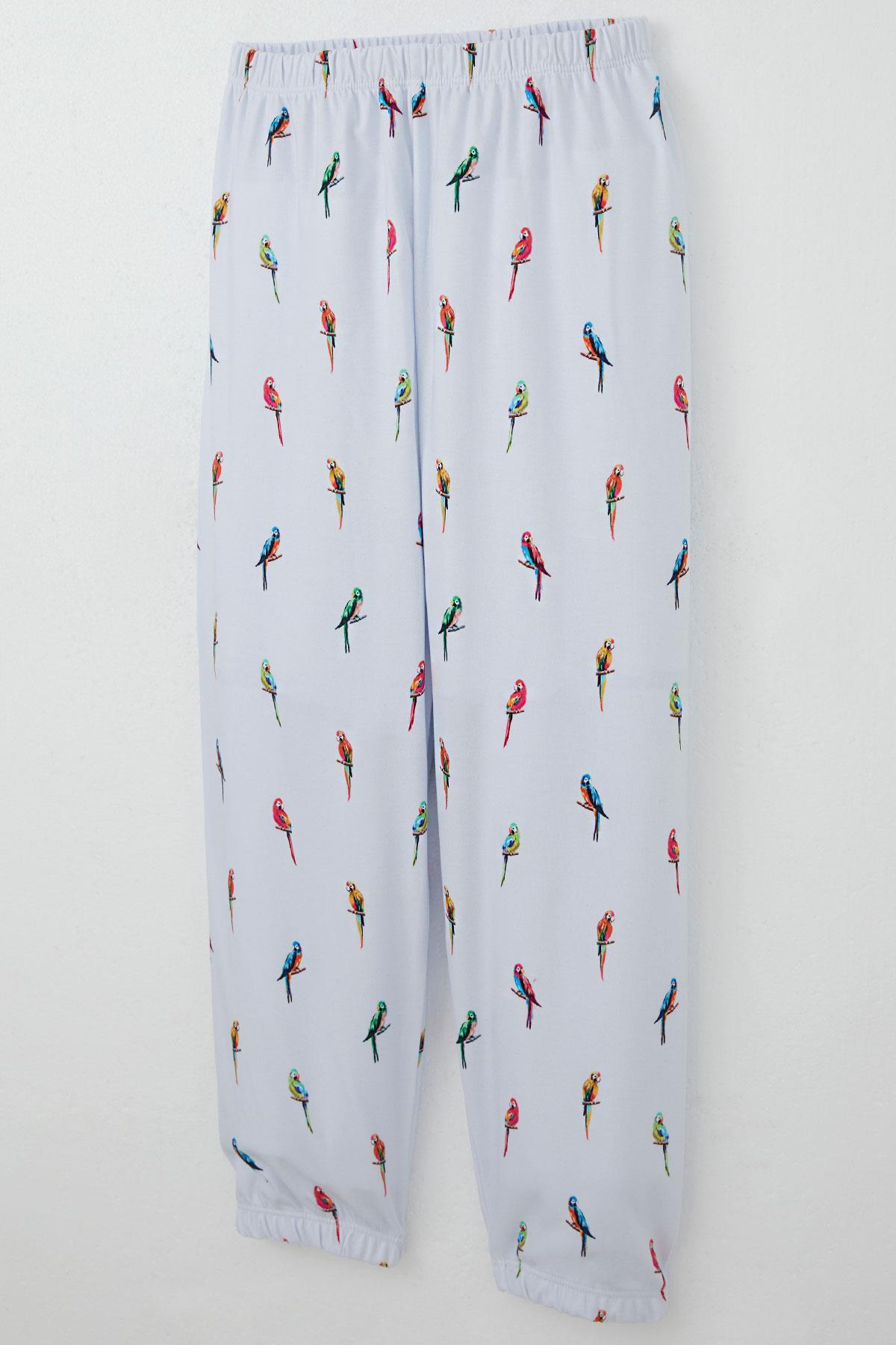Breeze Erkek Çocuk Pijama Takımı Renkli Papağan Desenli Buz Mavisi (4-8 Yaş)