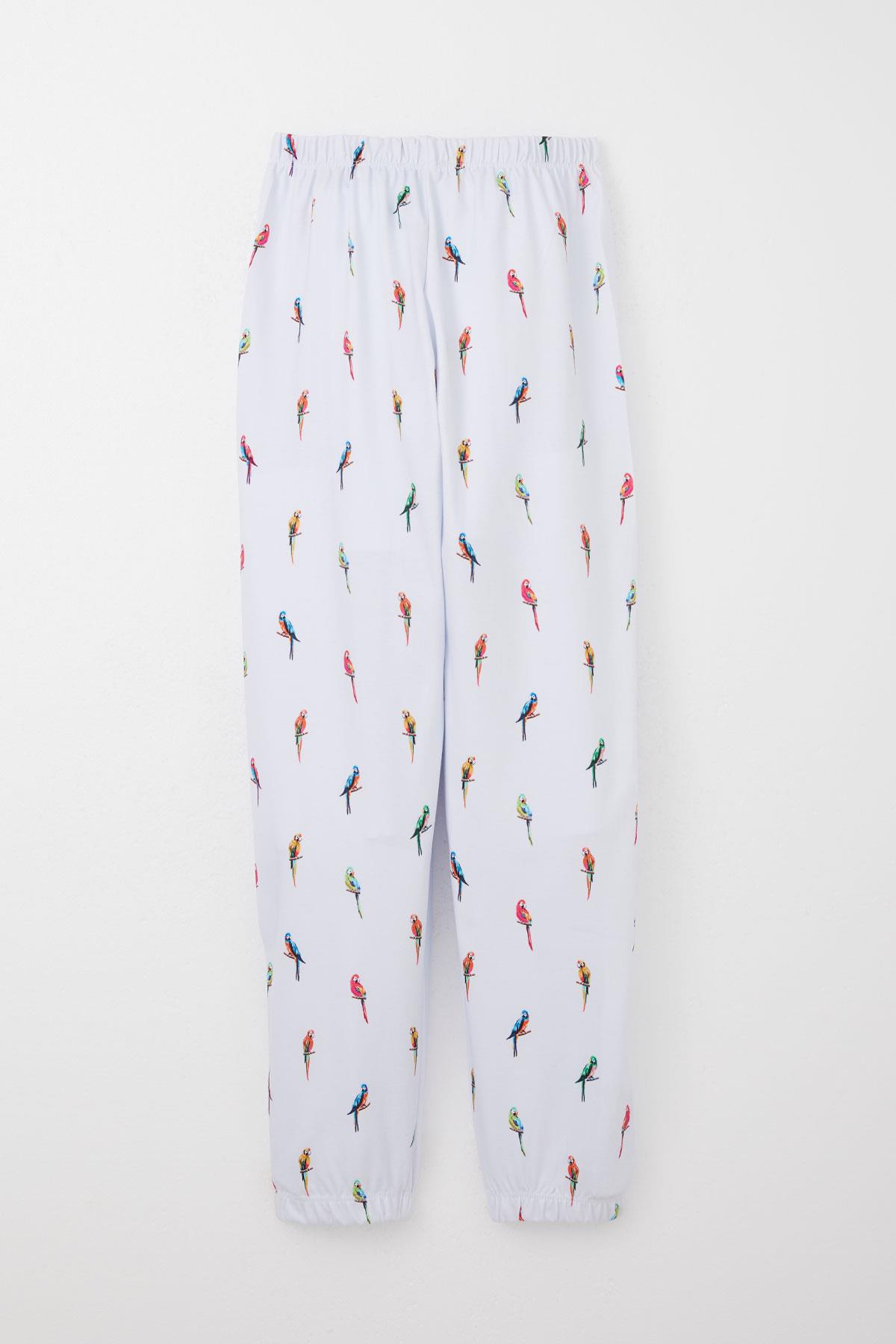 Breeze Erkek Çocuk Pijama Takımı Renkli Papağan Desenli Buz Mavisi (9-12 Yaş)