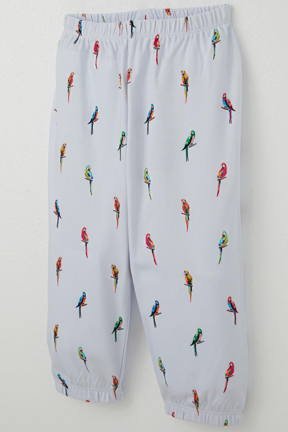 Breeze Erkek Çocuk Pijama Takımı Renkli Papağan Desenli Buz Mavisi (1-2 Yaş)