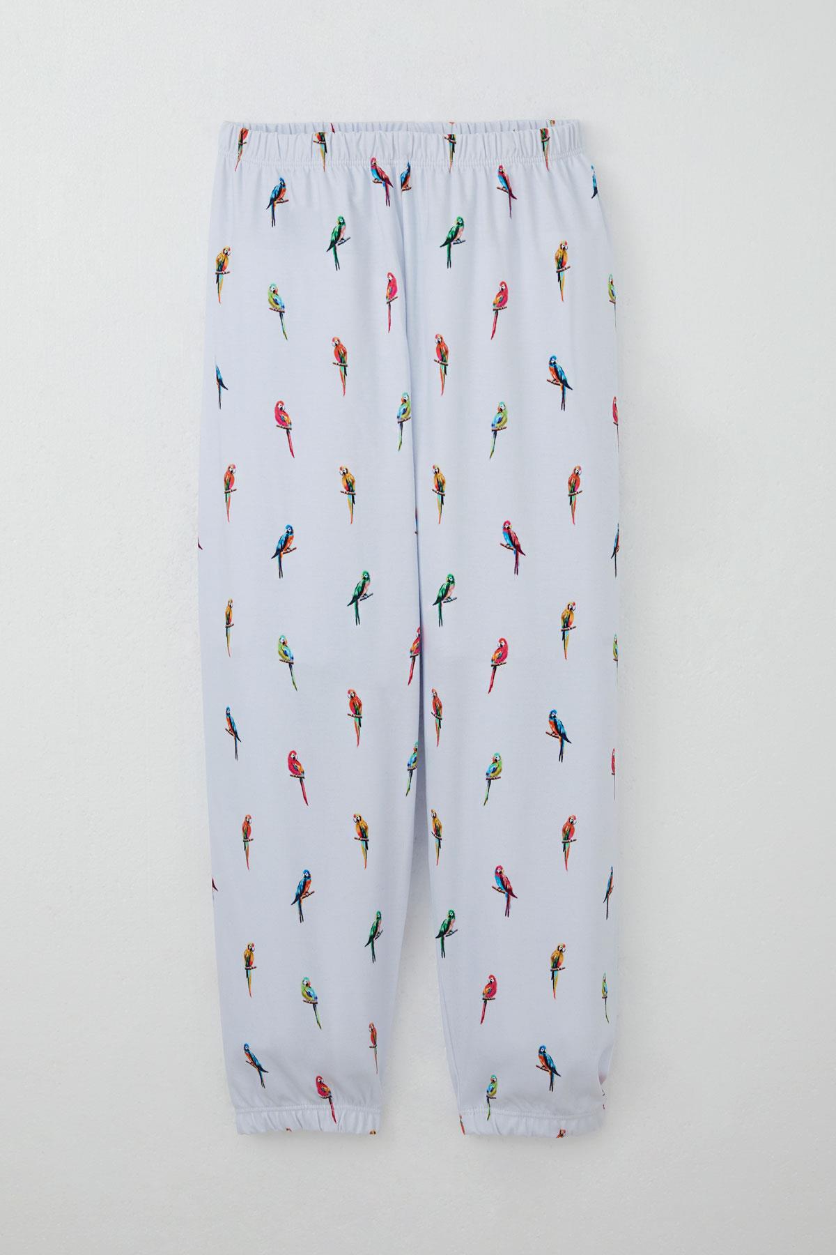 Breeze Erkek Çocuk Pijama Takımı Renkli Papağan Desenli Buz Mavisi (4-8 Yaş)