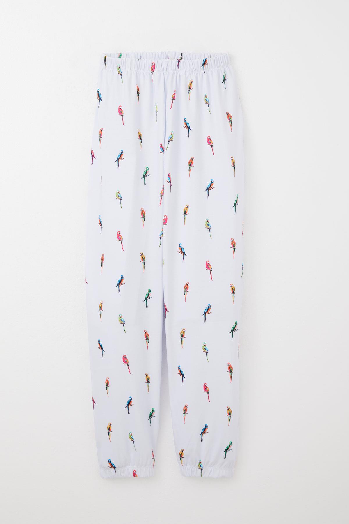 Breeze Erkek Çocuk Pijama Takımı Renkli Papağan Desenli Buz Mavisi (9-12 Yaş)