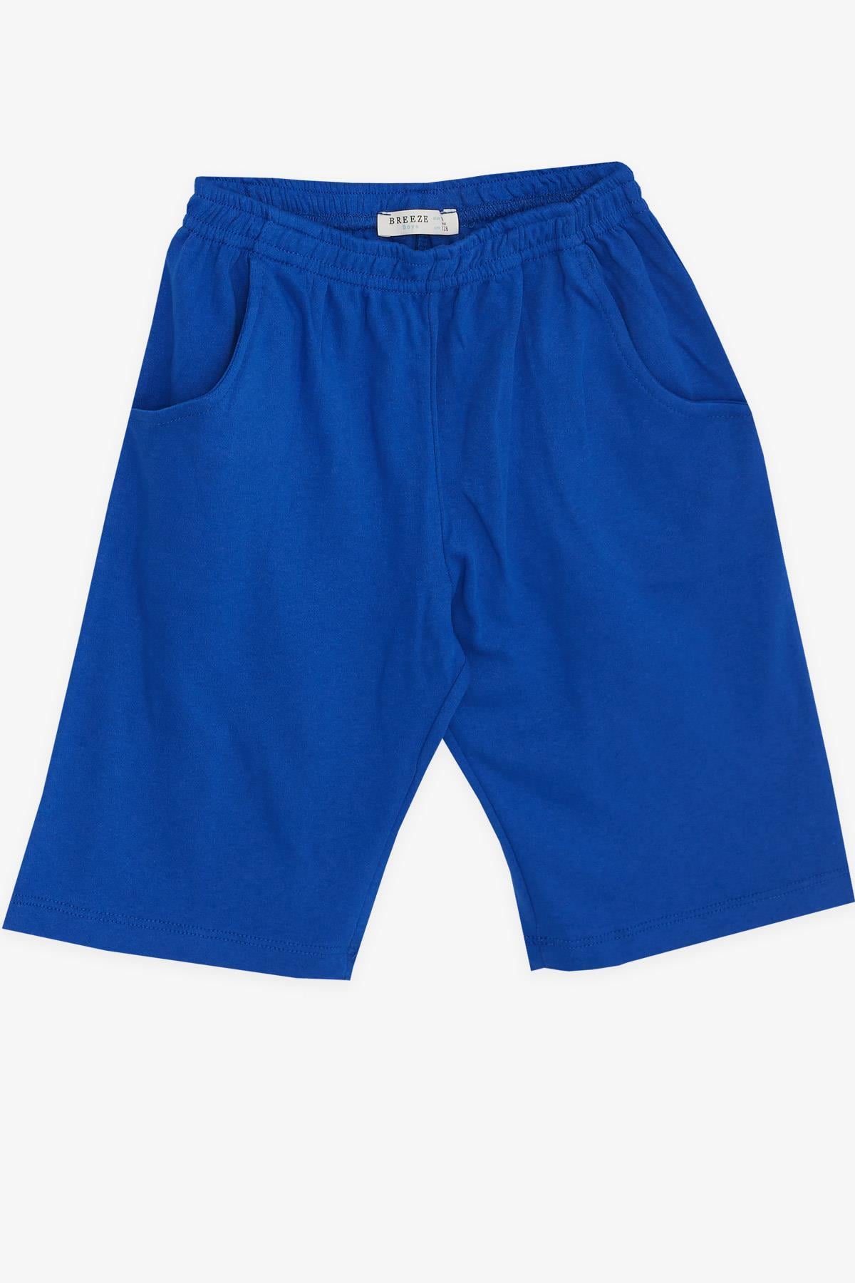 Breeze Erkek Çocuk Şortlu Pijama Takımı Dinozor Desenli Karışık Renk (4-8 Yaş)