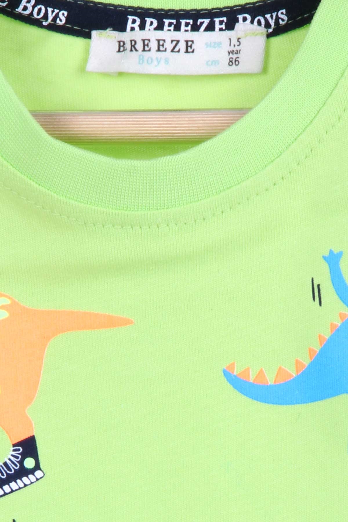 Breeze Erkek Çocuk Şortlu Takım Dinozor Baskılı Fıstık Yeşili (1.5-5 Yaş)