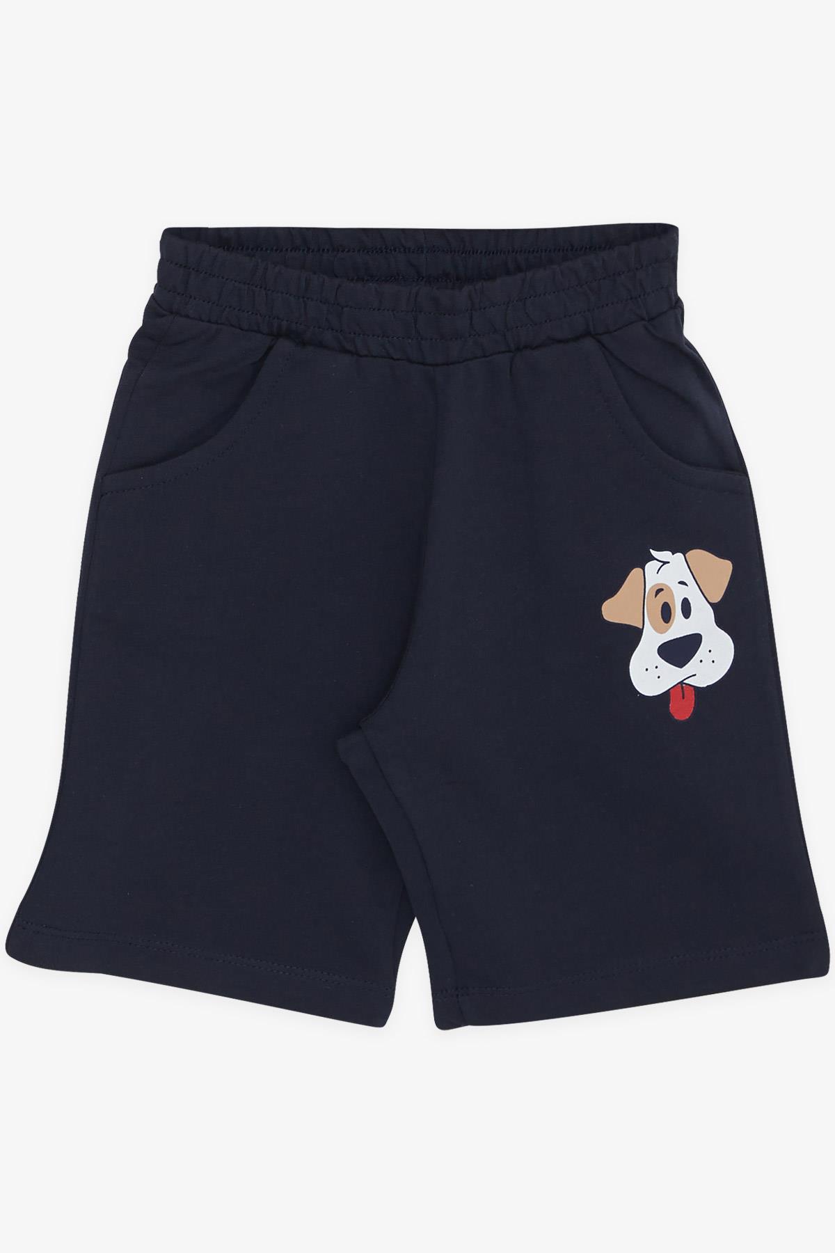 Breeze Erkek Çocuk Şortlu Takım Sevimli Köpekçik Fıstık Yeşili (1-4 Yaş)