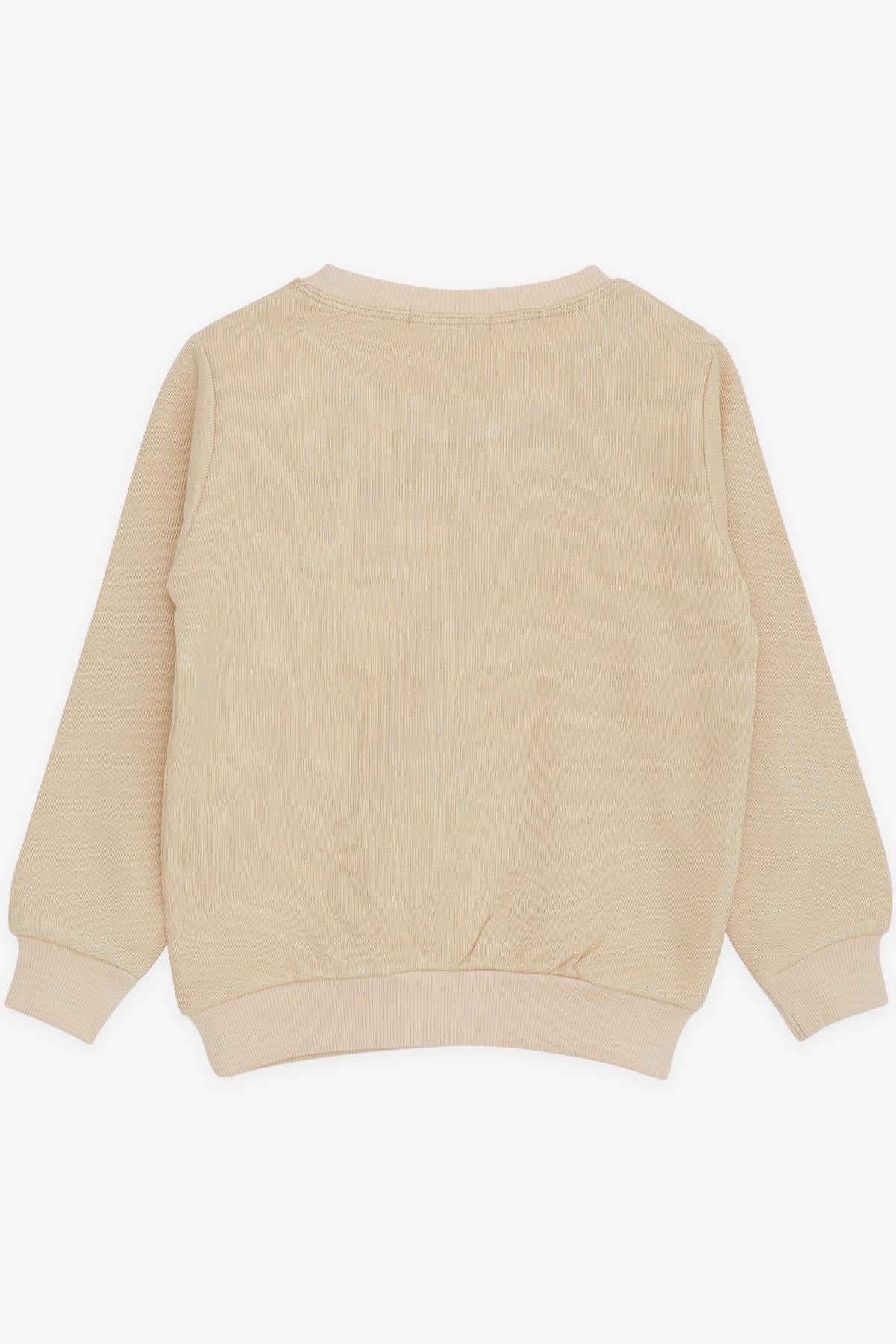 Breeze Erkek Çocuk Sweatshirt Armalı Bej (2-6 Yaş)