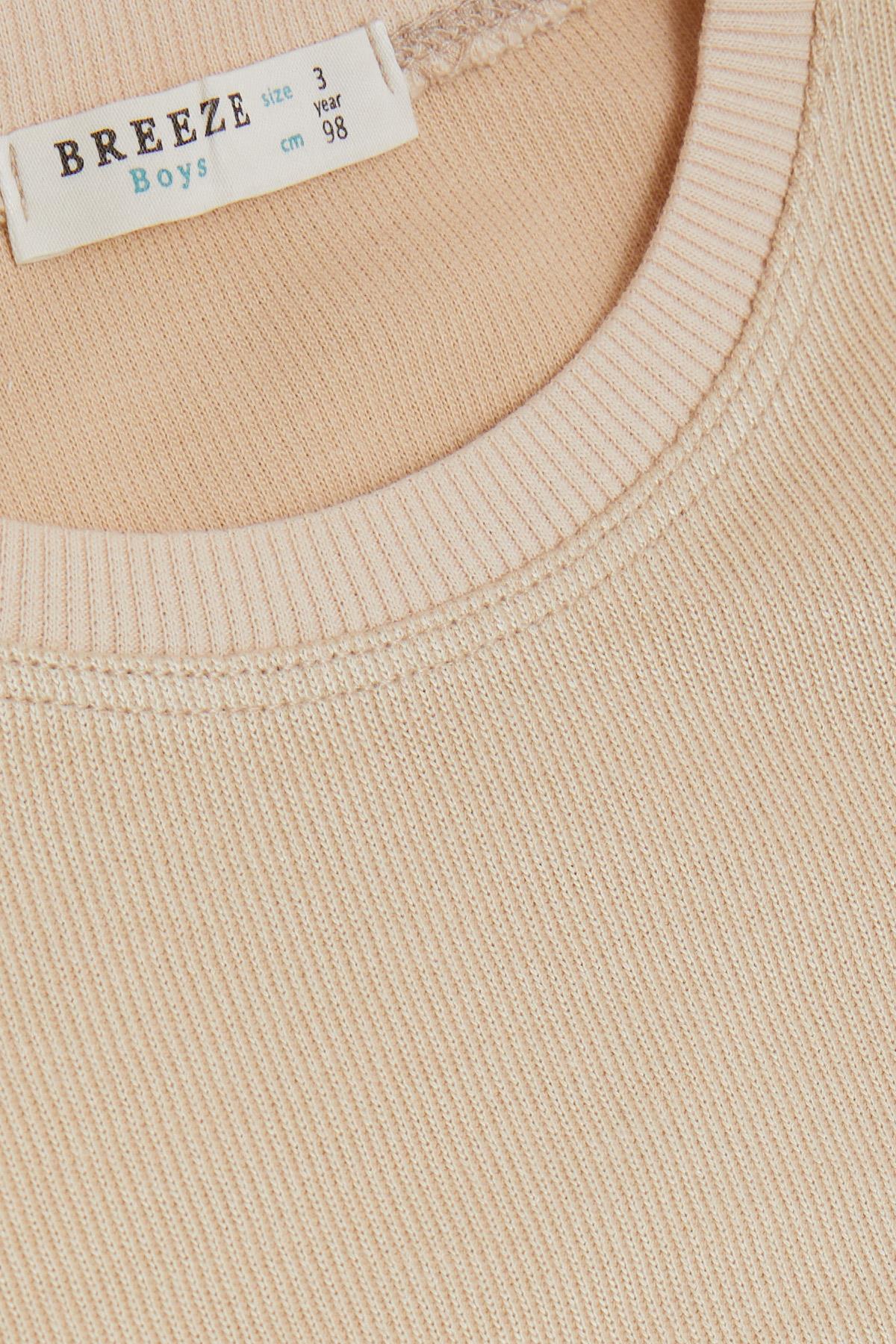 Breeze Erkek Çocuk Sweatshirt Armalı Bej (2-6 Yaş)