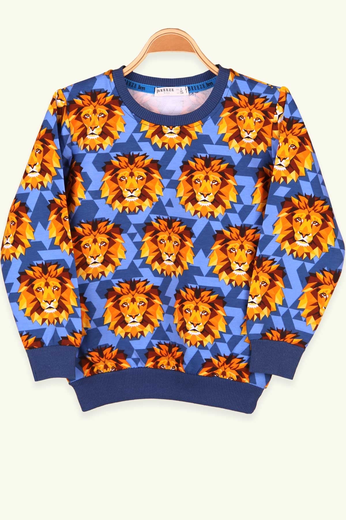 Breeze Erkek Çocuk Sweatshirt Aslanlı Mavi (4-8Yaş)