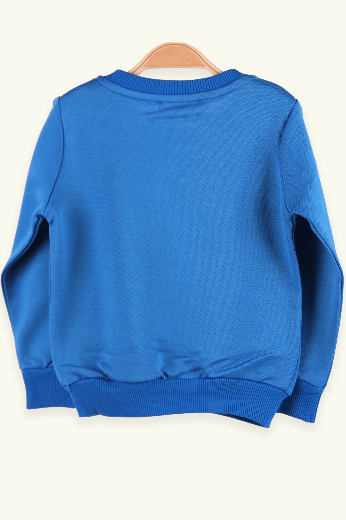 Breeze Erkek Çocuk Sweatshirt Ayıcıklı Mavi (1.5-5 Yaş)