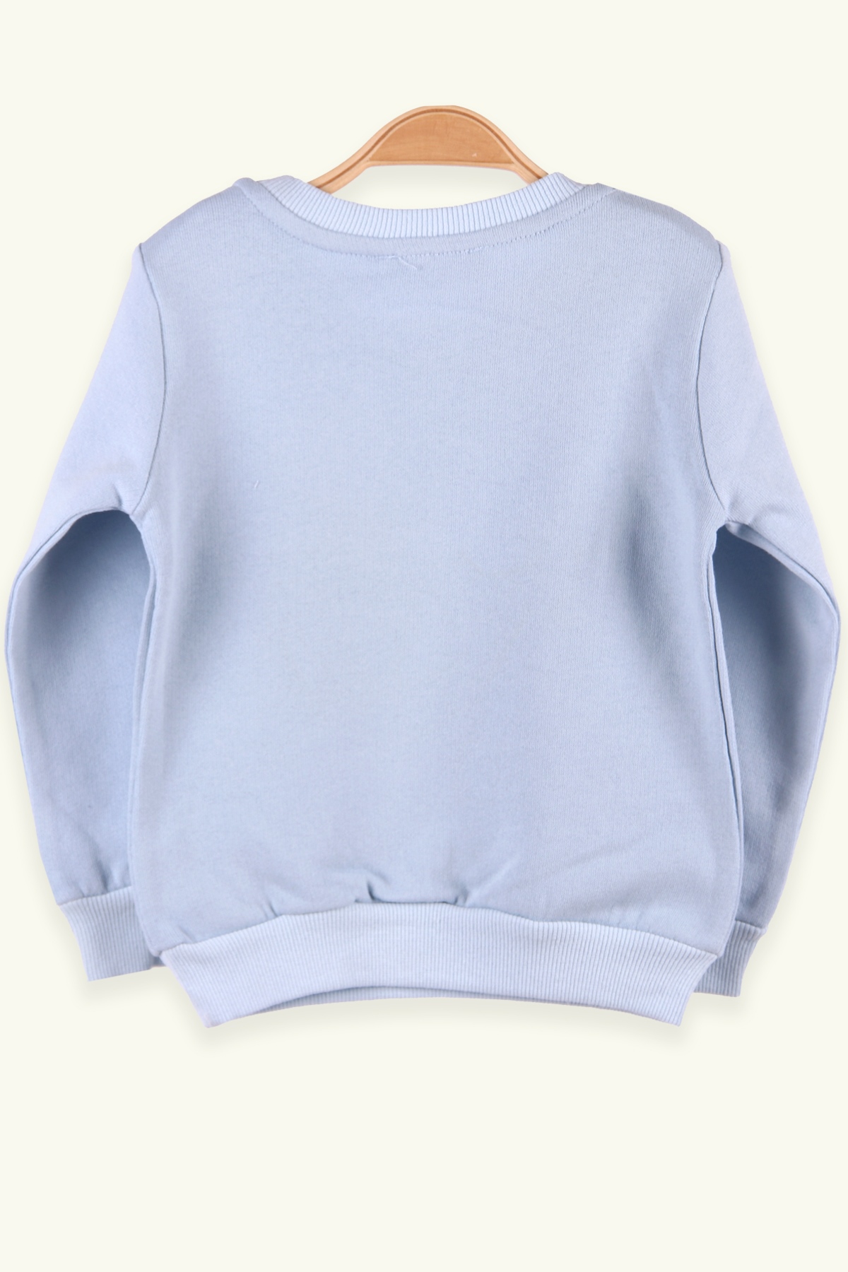 Breeze Erkek Çocuk Sweatshirt Ayıcıklı Turkuaz (1.5-5 Yaş)