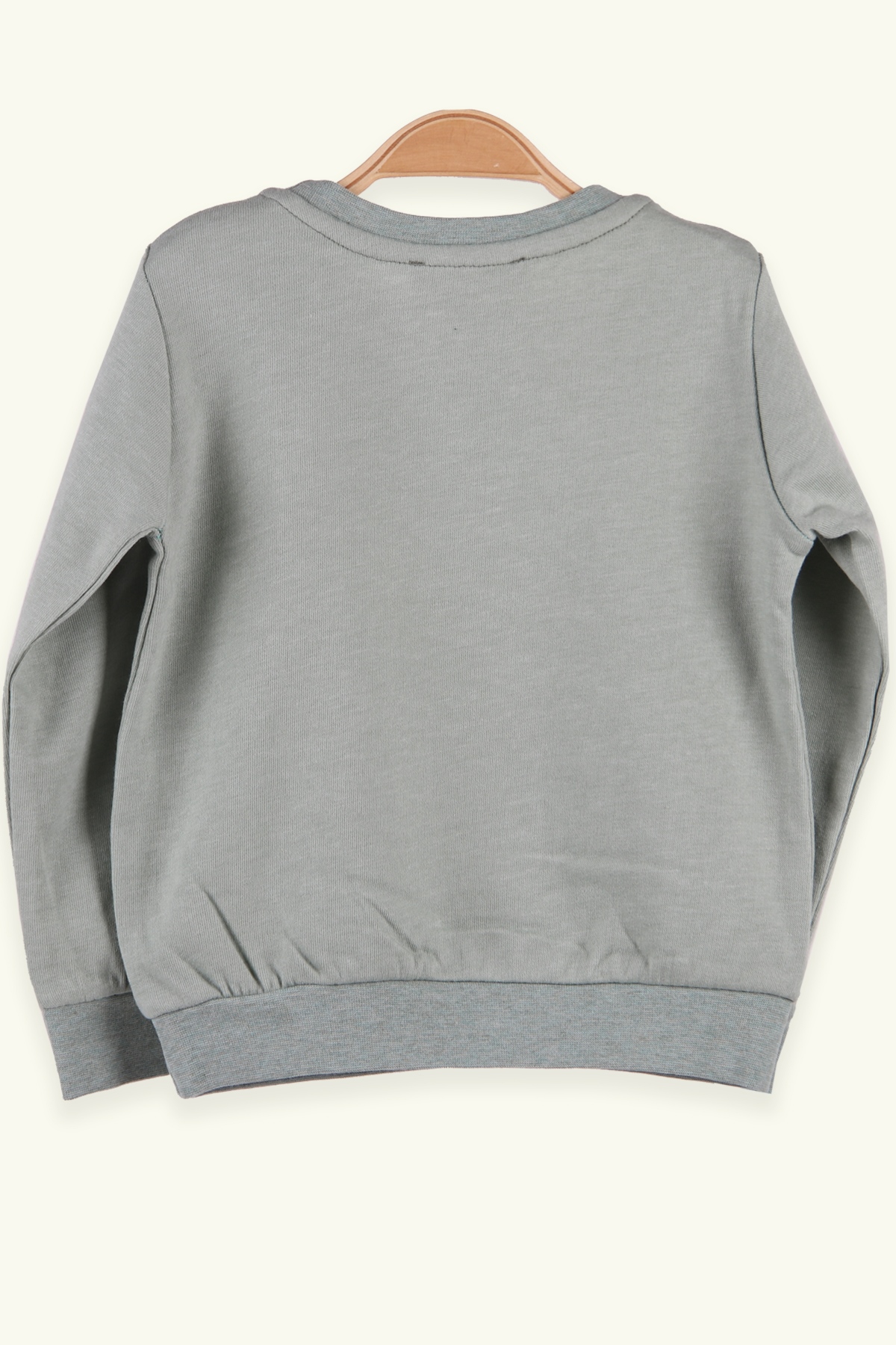 Breeze Erkek Çocuk Sweatshirt Ayıcıklı Yeşil (1.5-5 Yaş)