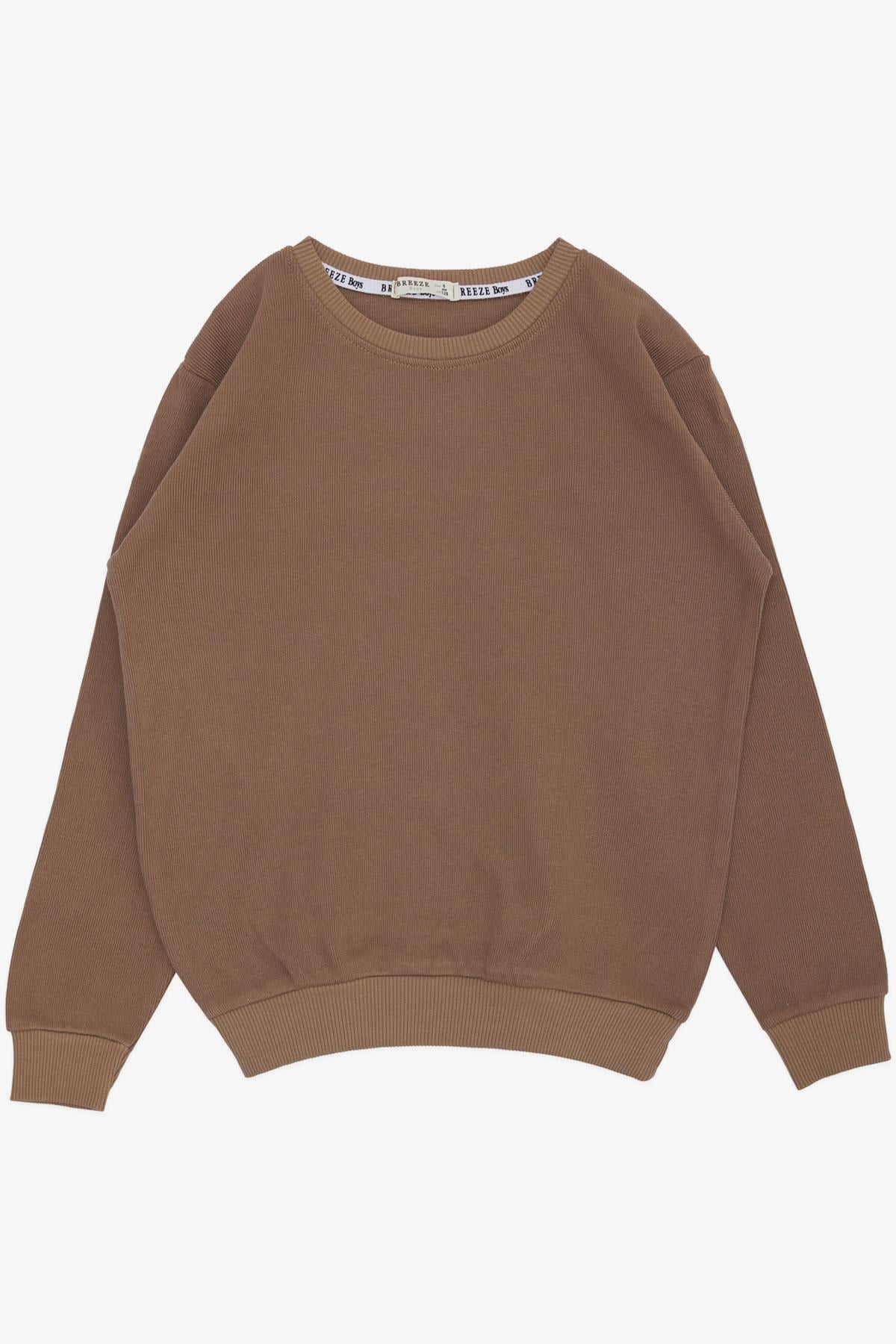 Breeze Erkek Çocuk Sweatshirt Basic Kahverengi (4-8 Yaş)