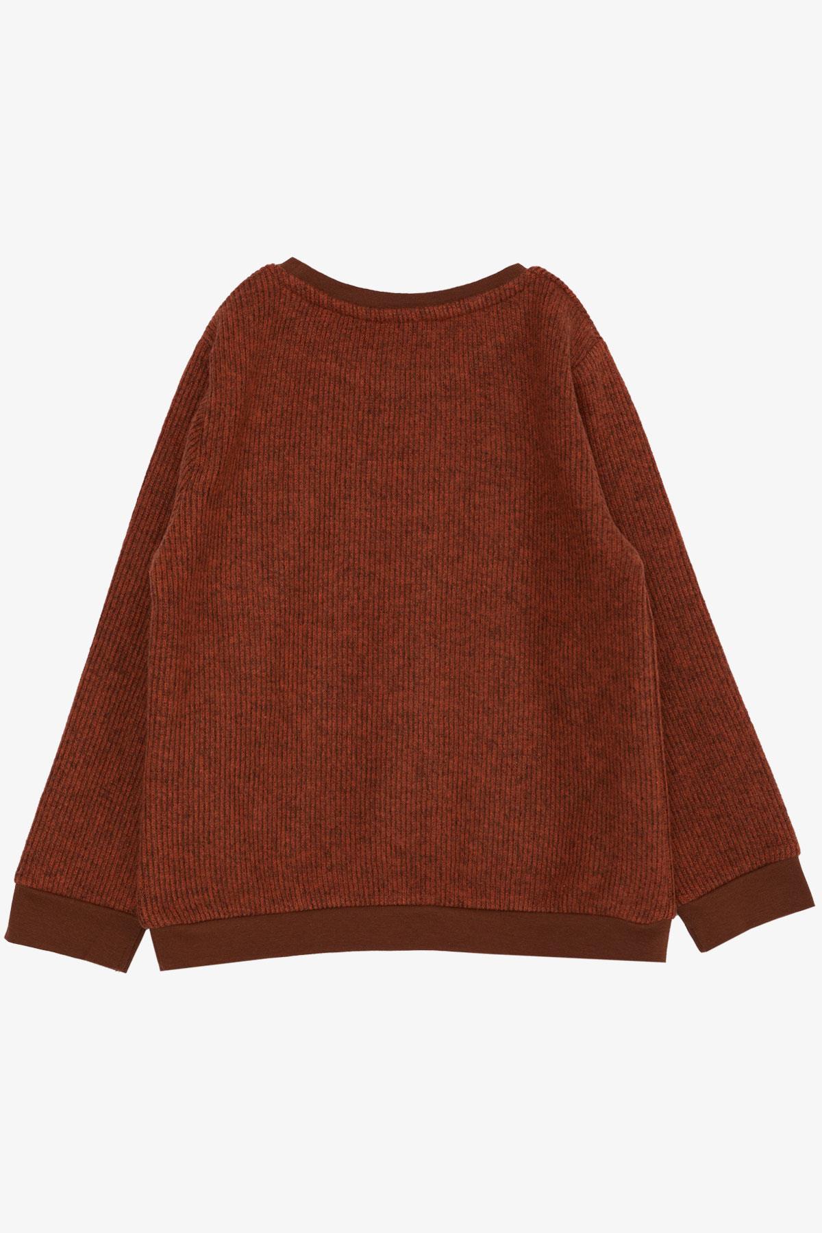 Breeze Erkek Çocuk Sweatshirt Basic Kiremit (2-5 Yaş)