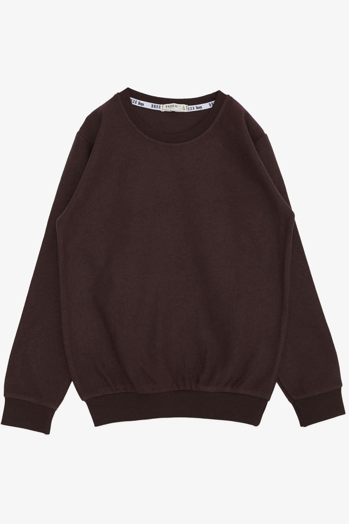 Breeze Erkek Çocuk Sweatshirt Basic Koyu Kahve (4-8 Yaş)