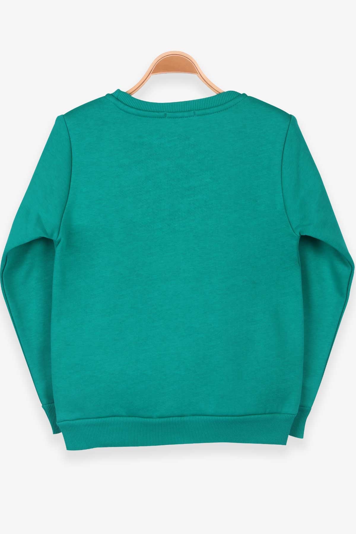 Breeze Erkek Çocuk Sweatshirt Baskılı Yeşil (8-14 Yaş)
