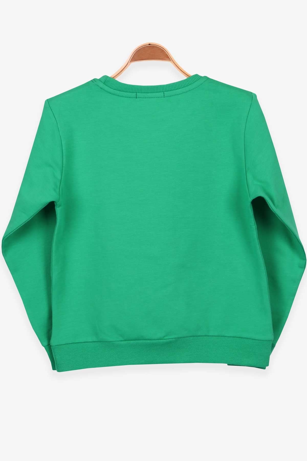 Breeze Erkek Çocuk Sweatshirt Baskılı Yeşil (8-14 Yaş)