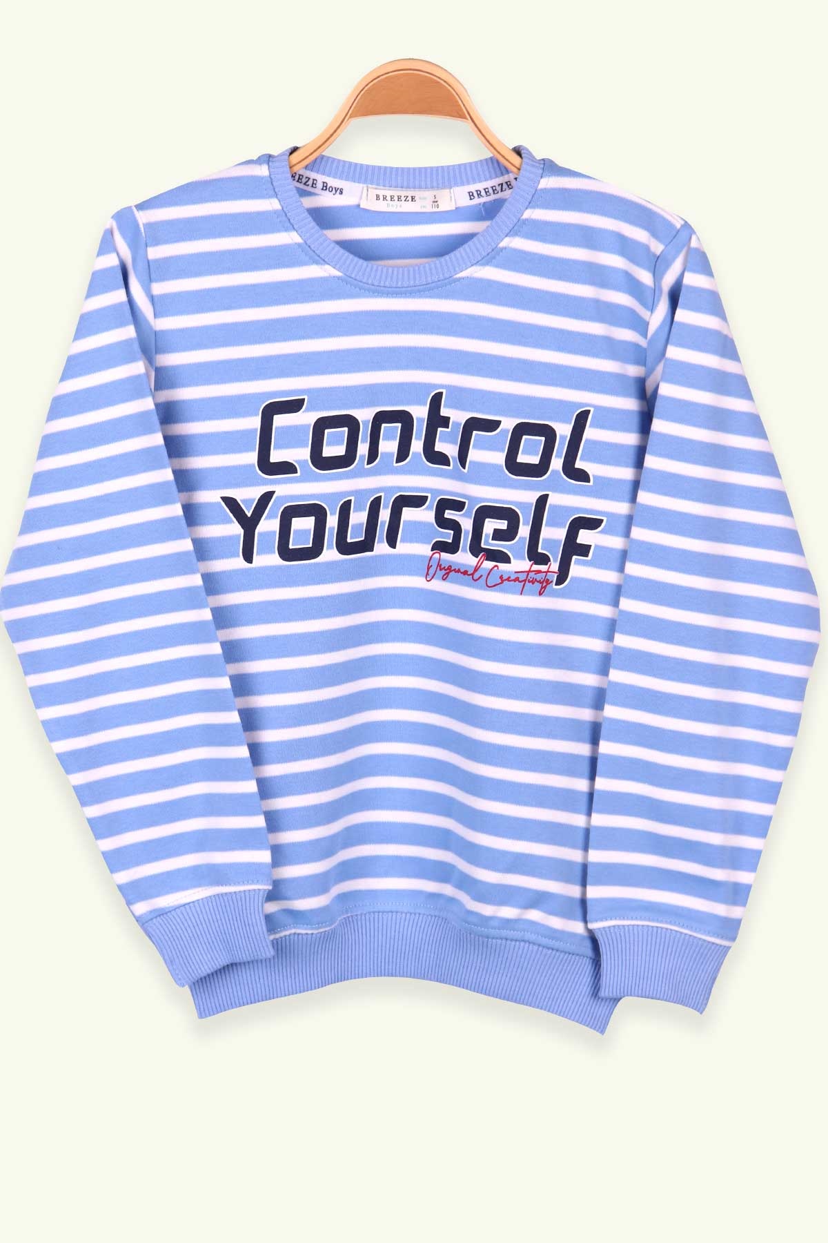 Breeze Erkek Çocuk Sweatshirt Baskılı Bebe Mavisi (5-10 Yaş)