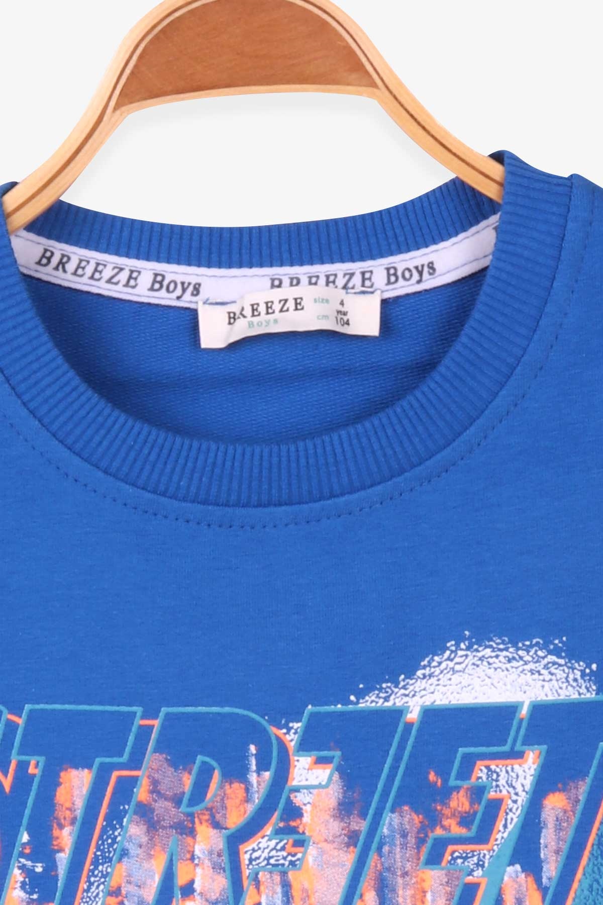 Breeze Erkek Çocuk Sweatshirt Baskılı Saks Mavisi (4-8 Yaş)