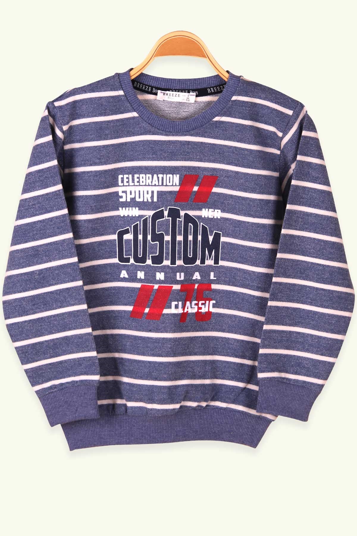 Breeze Erkek Çocuk Sweatshirt Baskılı Çizgili İndigo (5-10 Yaş)