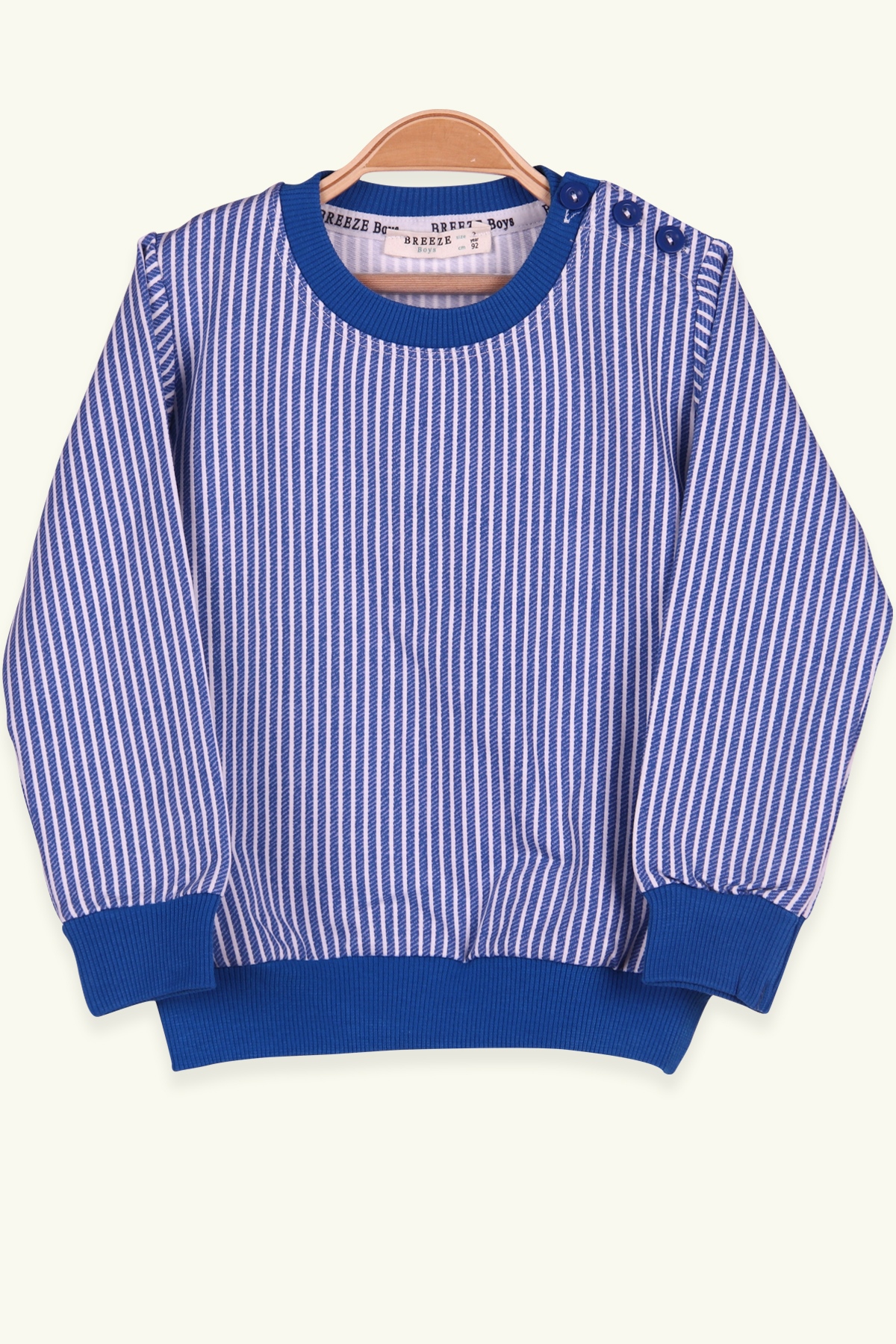 Breeze Erkek Çocuk Sweatshirt Çizgili Mavi (2-6 Yaş)