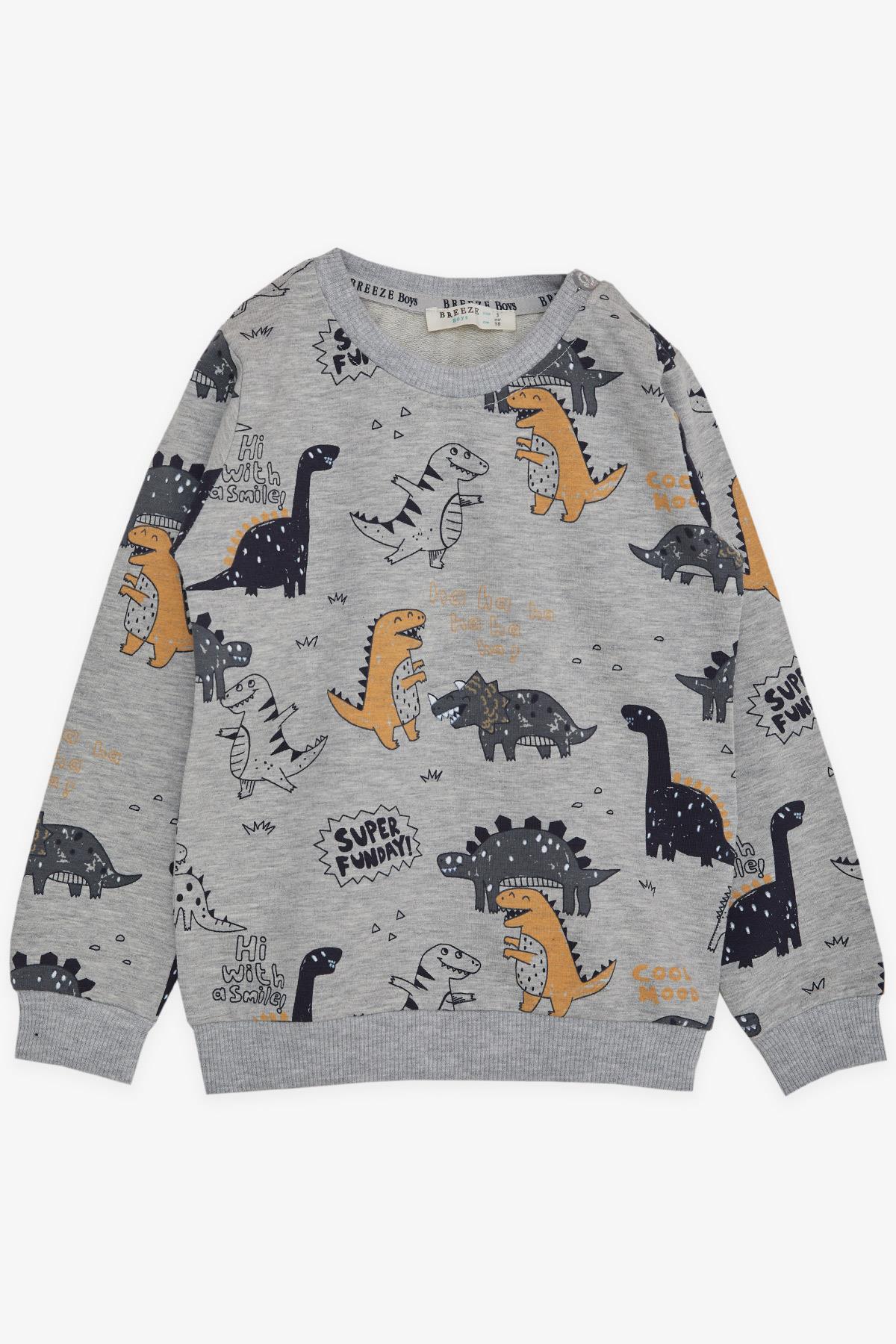 Breeze Erkek Çocuk Sweatshirt Dinazor Desenli Gri Melanj (1.5-5 Yaş)