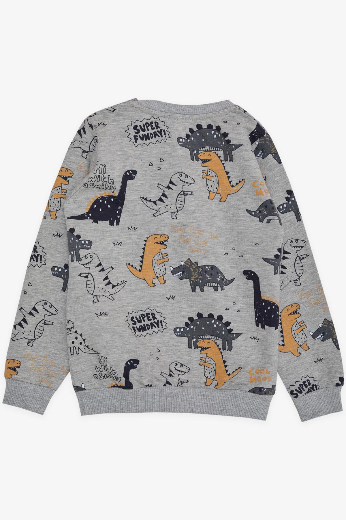Breeze Erkek Çocuk Sweatshirt Dinazor Desenli Gri Melanj (1.5-5 Yaş)
