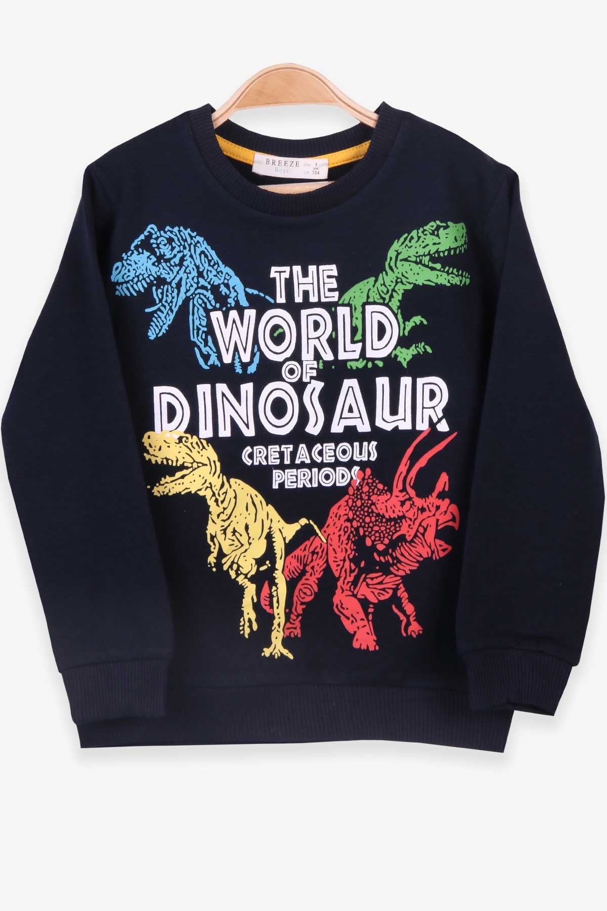 Breeze Erkek Çocuk Sweatshirt Dinozor Baskılı Lacivert (4-12 Yaş)