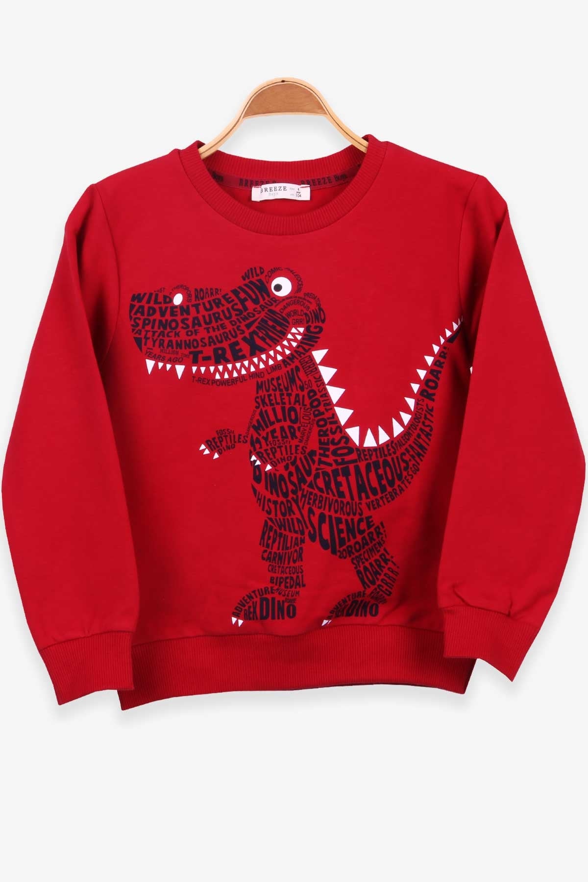 Breeze Erkek Çocuk Sweatshirt Dinozor Baskılı Kırmızı (4-8 Yaş)