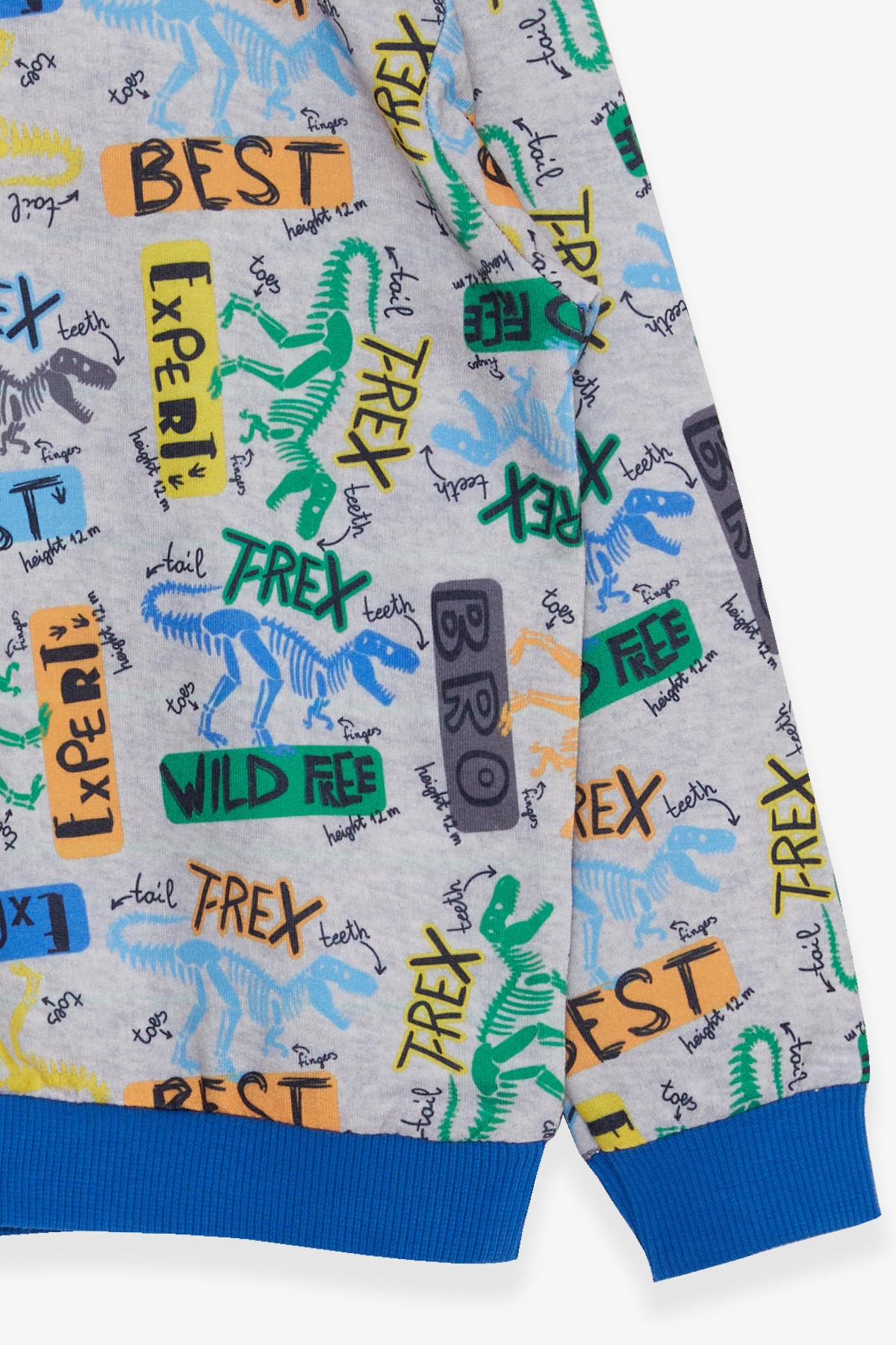 Breeze Erkek Çocuk Sweatshirt Dinozor Desenli Açık Gri Melanj (1.5-5 Yaş)