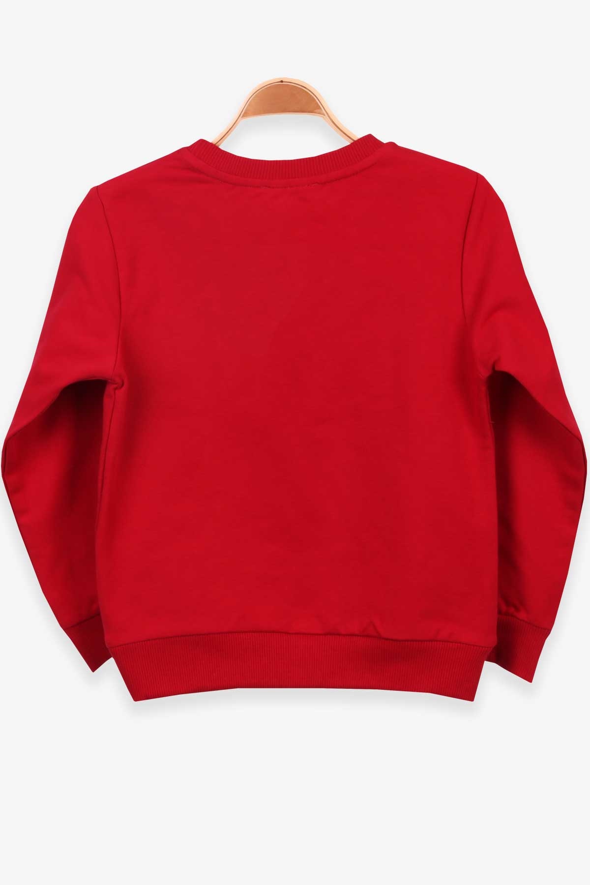 Breeze Erkek Çocuk Sweatshirt Dinozor Baskılı Kırmızı (4-8 Yaş)