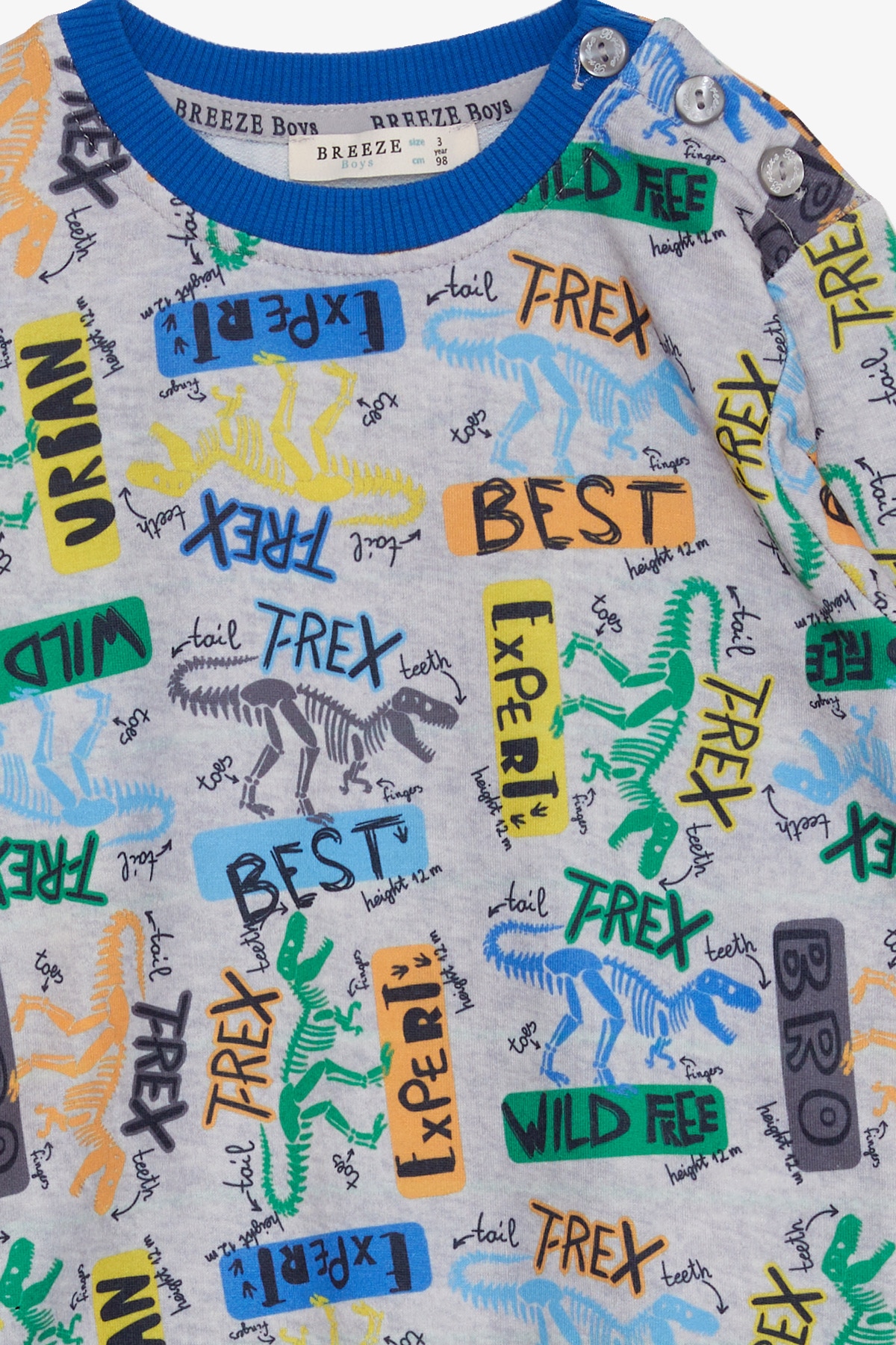 Breeze Erkek Çocuk Sweatshirt Dinozor Desenli Açık Gri Melanj (1.5-5 Yaş)