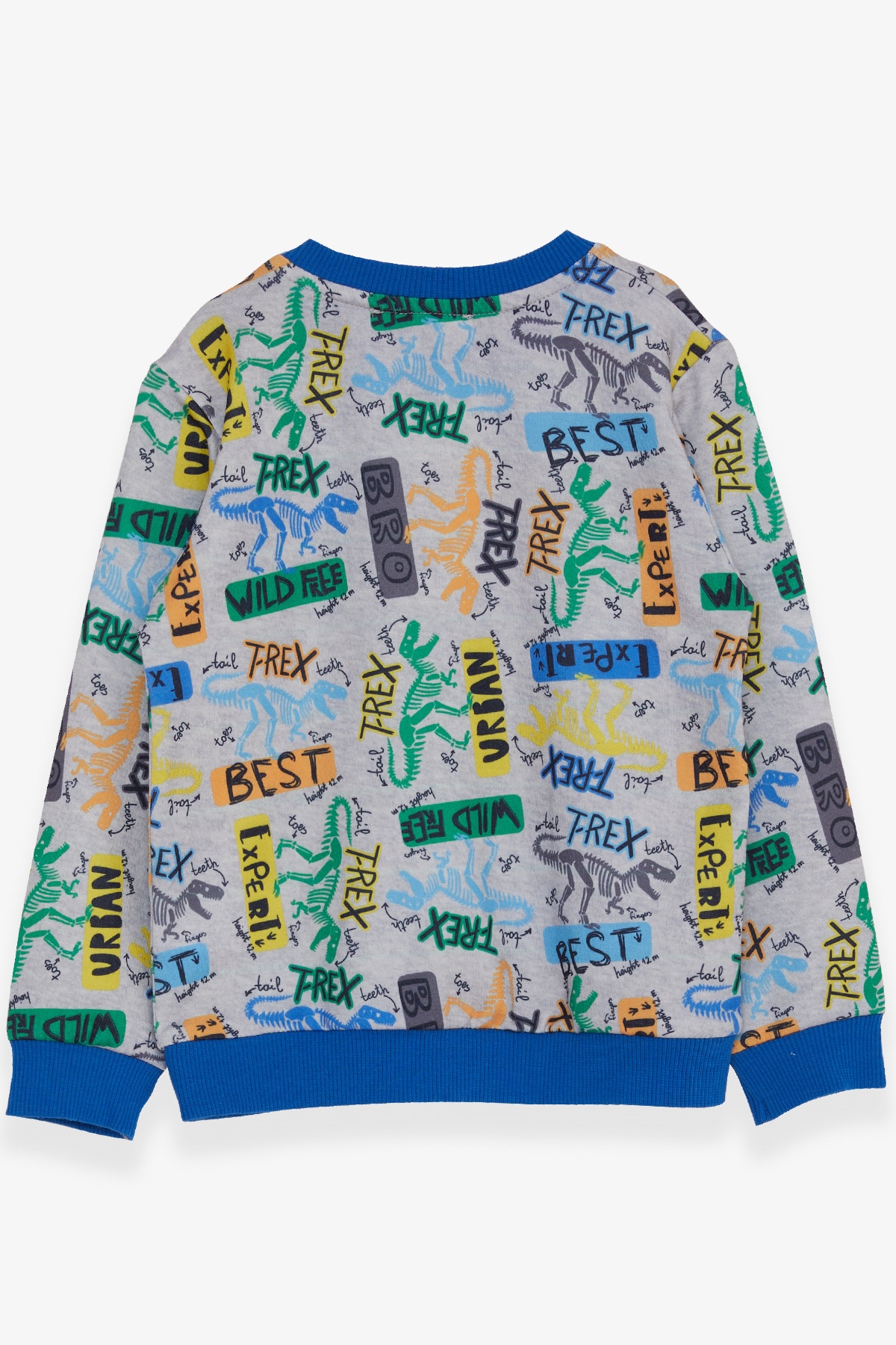 Breeze Erkek Çocuk Sweatshirt Dinozor Desenli Açık Gri Melanj (1.5-5 Yaş)