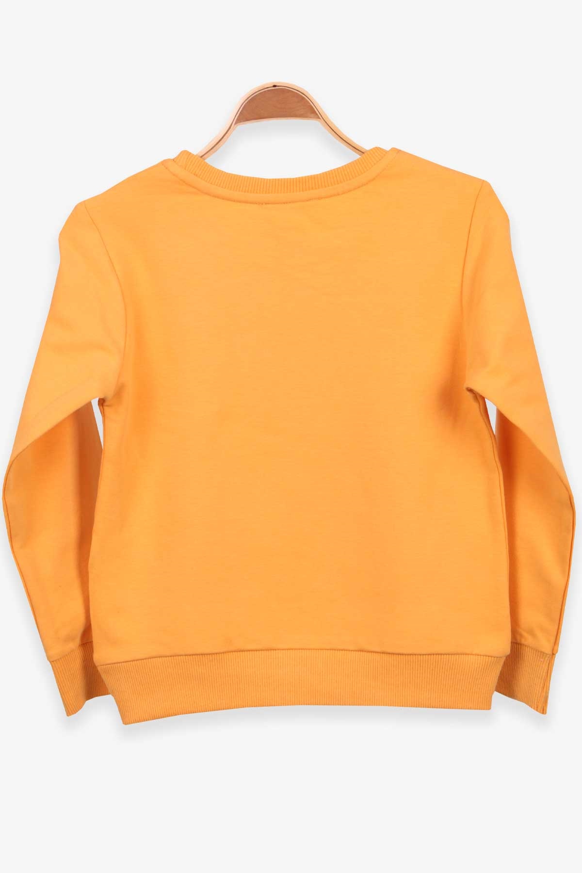 Breeze Erkek Çocuk Sweatshirt Dinozor Baskılı Hardal Sarı (4-8 Yaş)