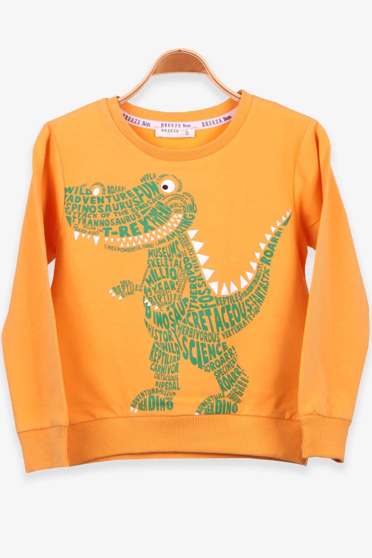 Breeze Erkek Çocuk Sweatshirt Dinozor Baskılı Hardal Sarı (4-8 Yaş)