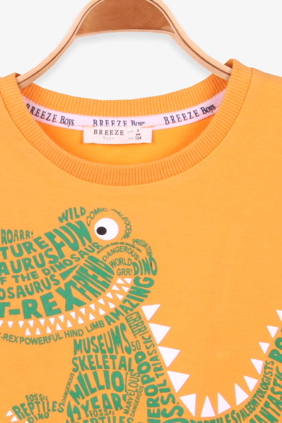 Breeze Erkek Çocuk Sweatshirt Dinozor Baskılı Hardal Sarı (4-8 Yaş)