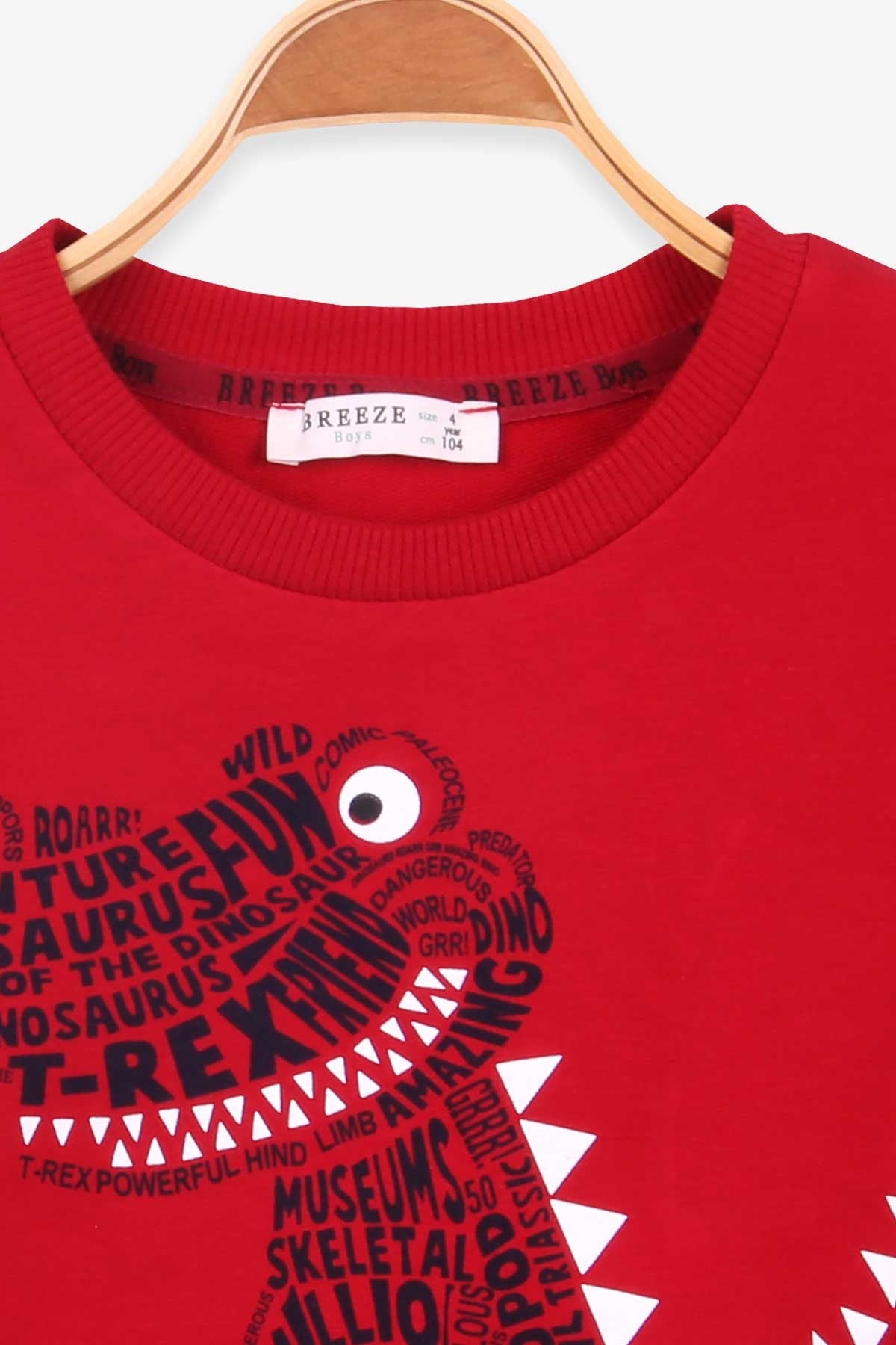 Breeze Erkek Çocuk Sweatshirt Dinozor Baskılı Kırmızı (4-8 Yaş)