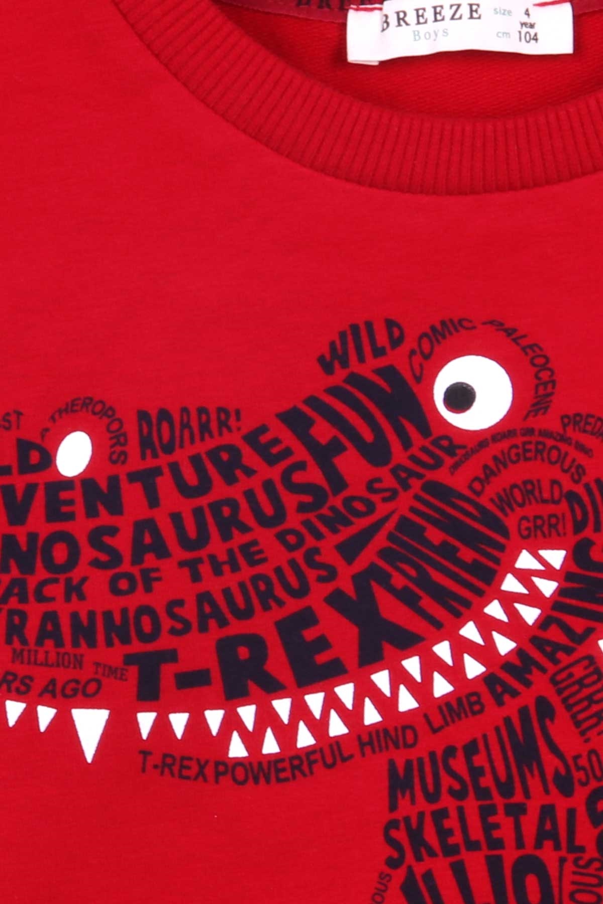 Breeze Erkek Çocuk Sweatshirt Dinozor Baskılı Kırmızı (4-8 Yaş)