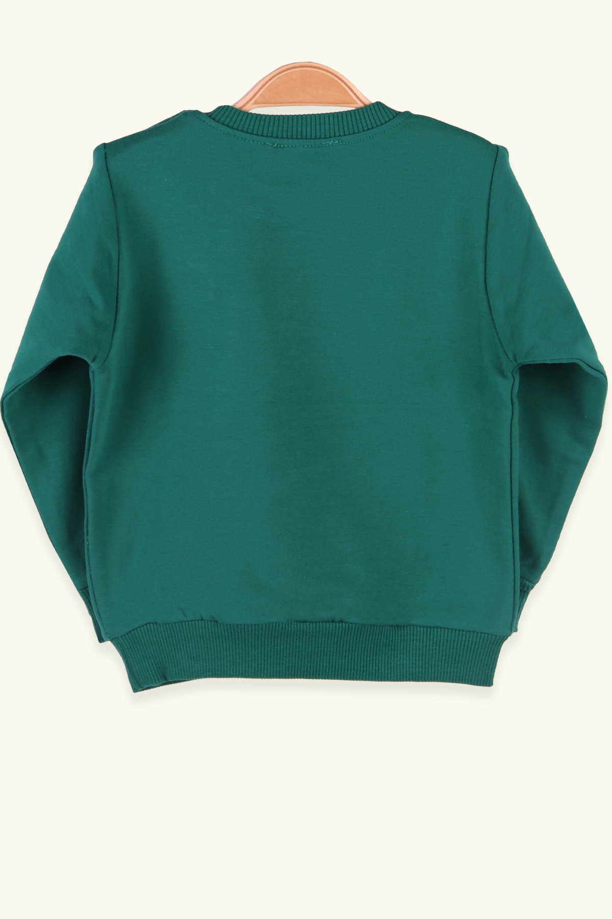Breeze Erkek Çocuk Sweatshirt Dişleri Hareketli Yeşil (1.5-5 Yaş)