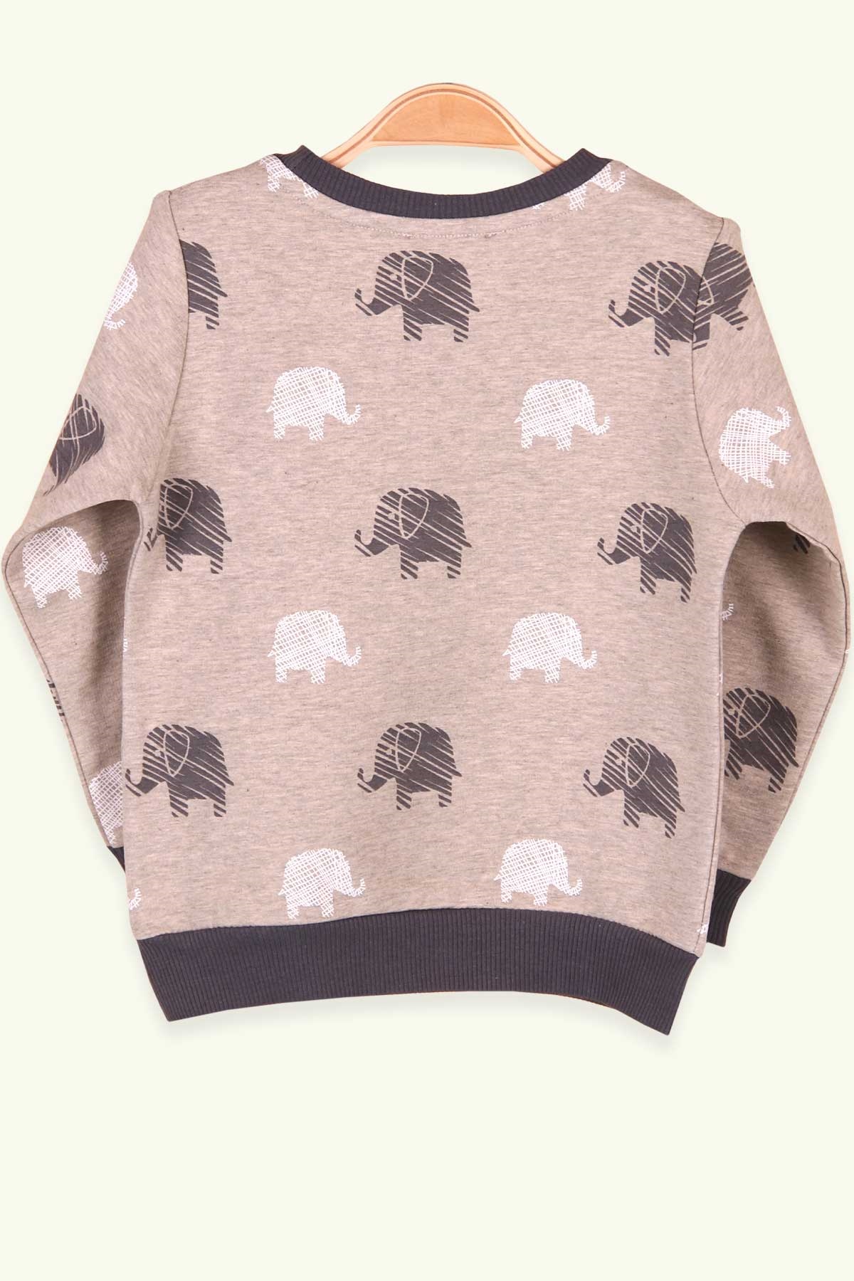 Breeze Erkek Çocuk Sweatshirt Filli Nakışlı Yeşil (1.5-5 Yaş)