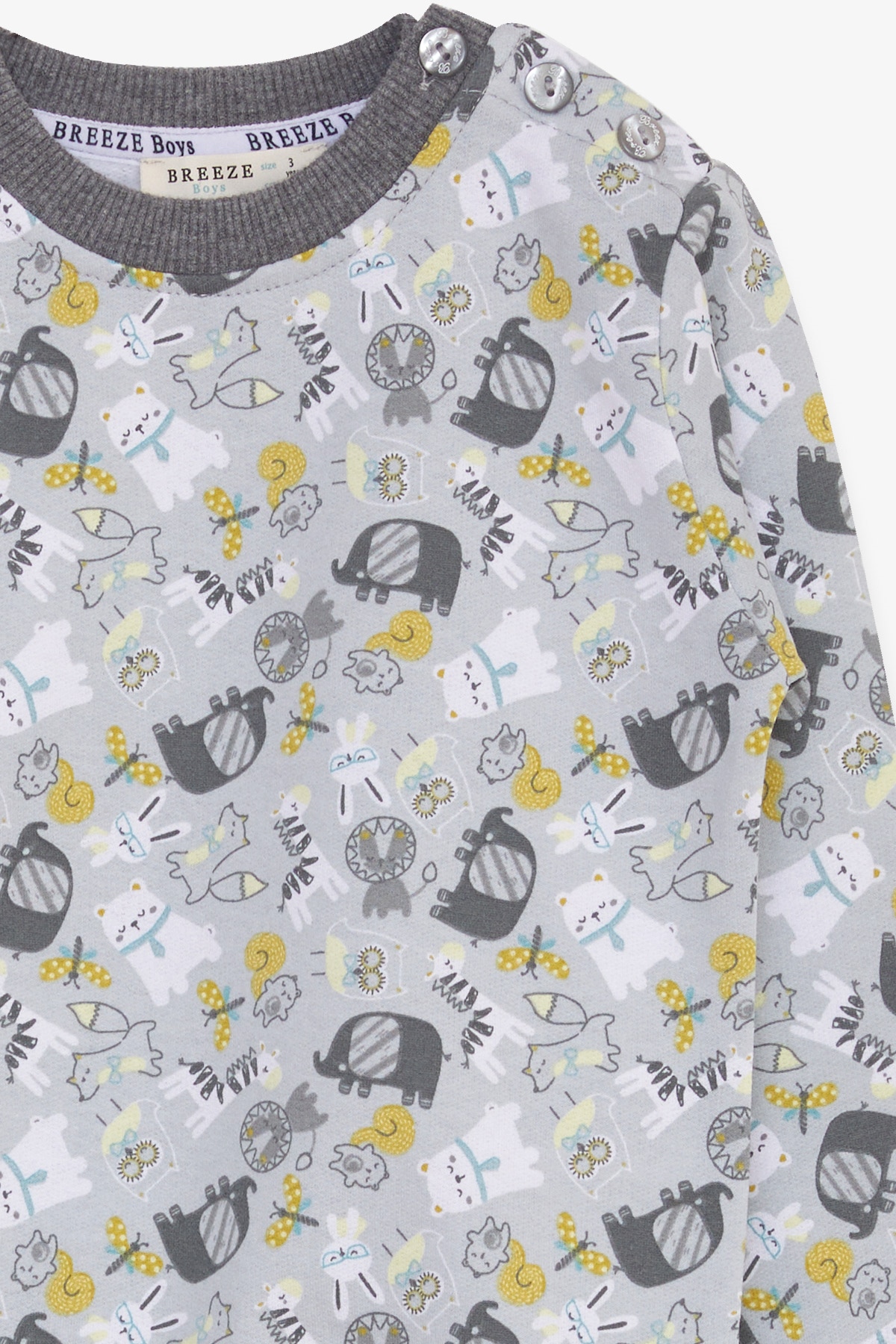 Breeze Erkek Çocuk Sweatshirt Hayvanlar Alemi Temalı Su Yeşili (1.5-5 Yaş)