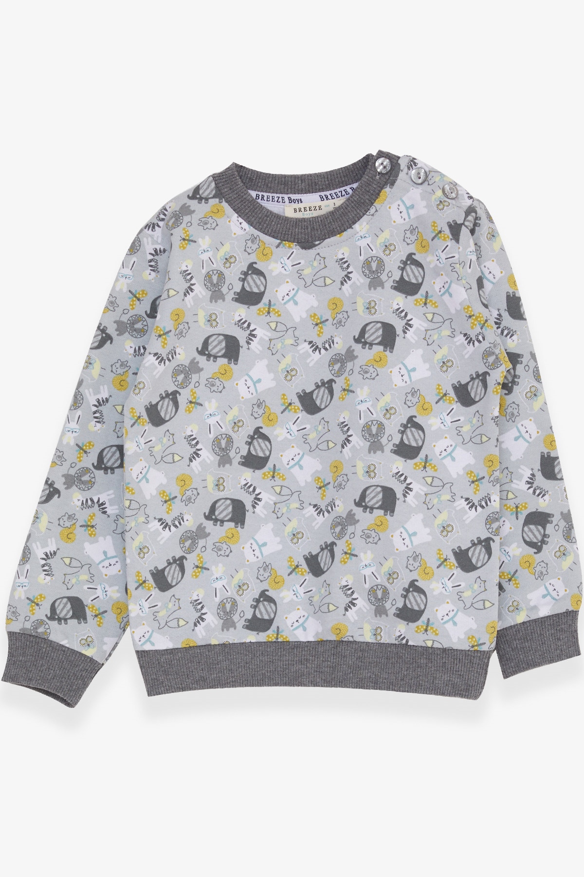 Breeze Erkek Çocuk Sweatshirt Hayvanlar Alemi Temalı Su Yeşili (1.5-5 Yaş)
