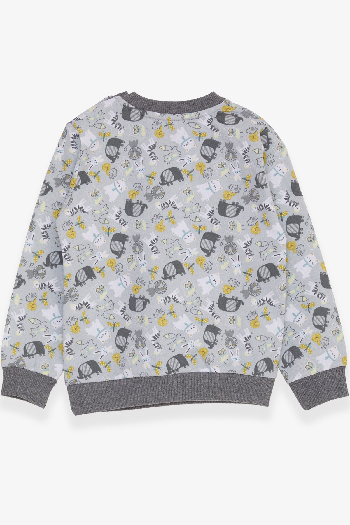Breeze Erkek Çocuk Sweatshirt Hayvanlar Alemi Temalı Su Yeşili (1.5-5 Yaş)