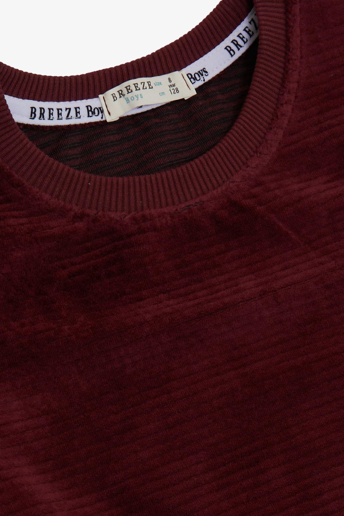 Breeze Erkek Çocuk Sweatshirt Kadife Basic Vişne Çürüğü (4-8 Yaş)