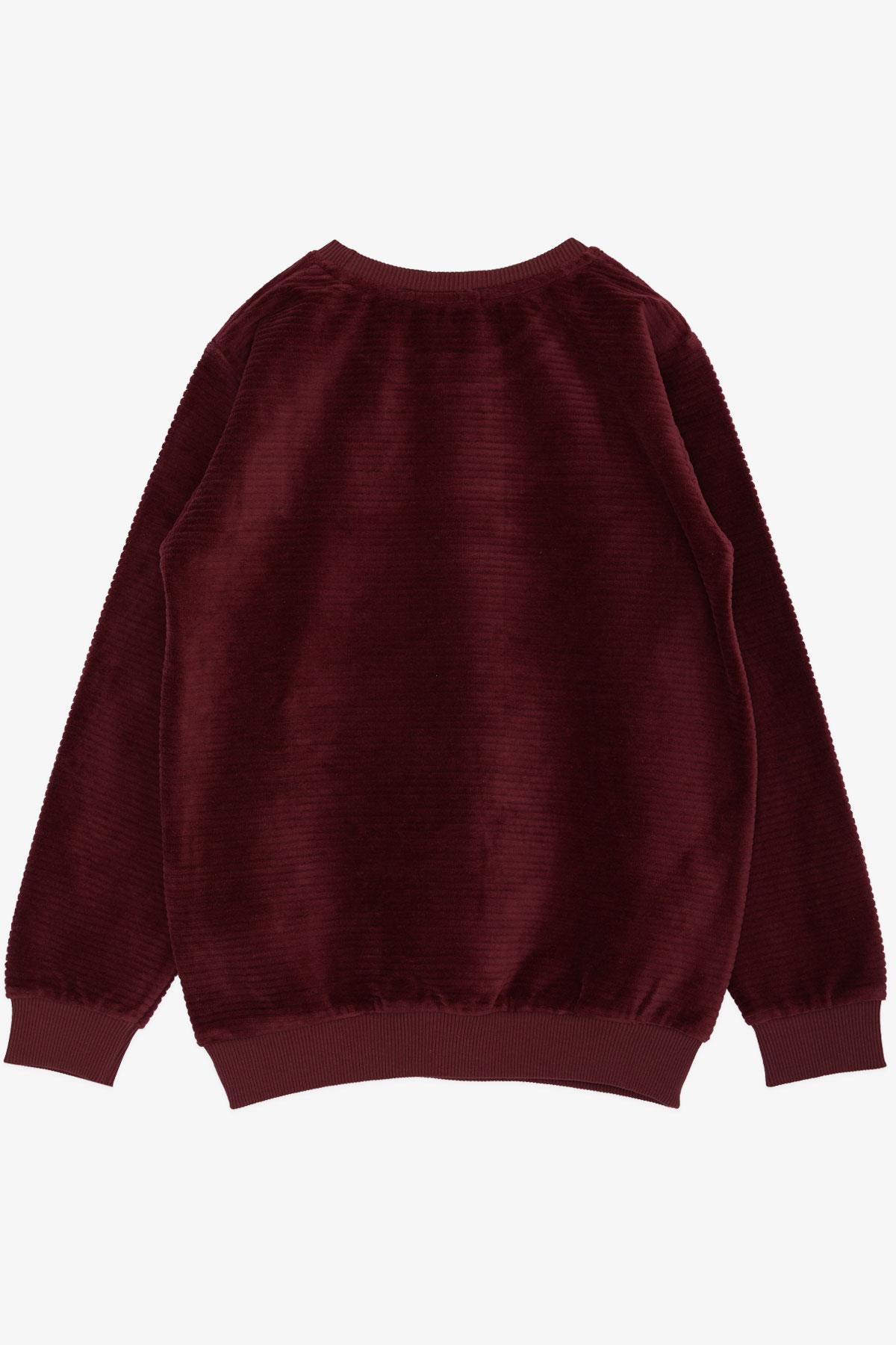 Breeze Erkek Çocuk Sweatshirt Kadife Basic Vişne Çürüğü (4-8 Yaş)