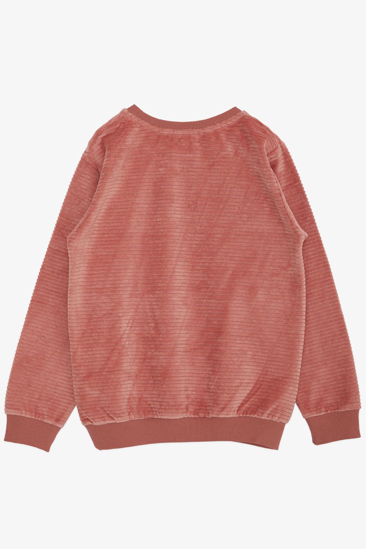 Breeze Erkek Çocuk Sweatshirt Kadife Basic Gülkurusu (4-8 Yaş)