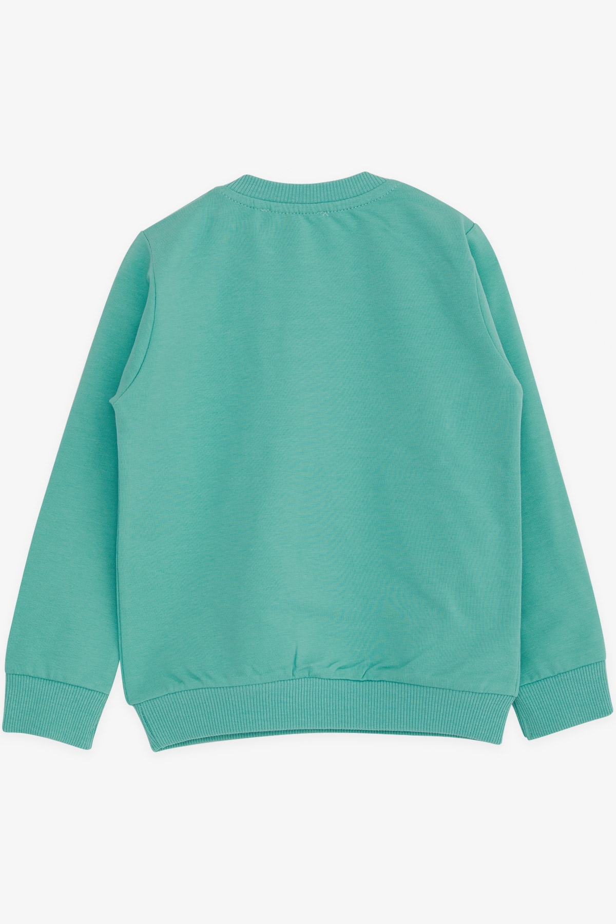 Breeze Erkek Çocuk Sweatshirt Kampçı Dinazor Baskılı Mint Yeşili (1.5-5 Yaş)